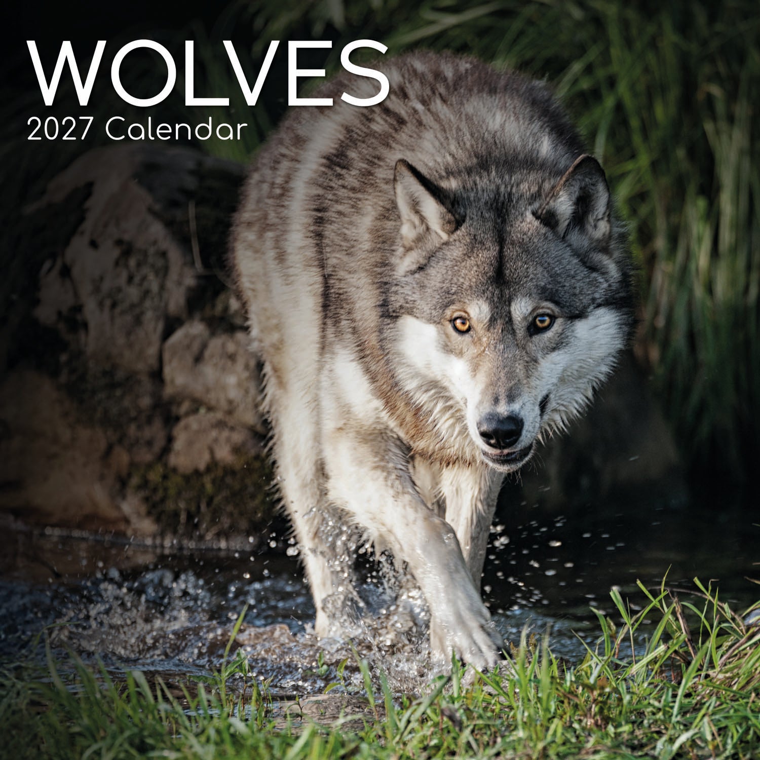 Animals_Wolves_2027_Cover.jpg