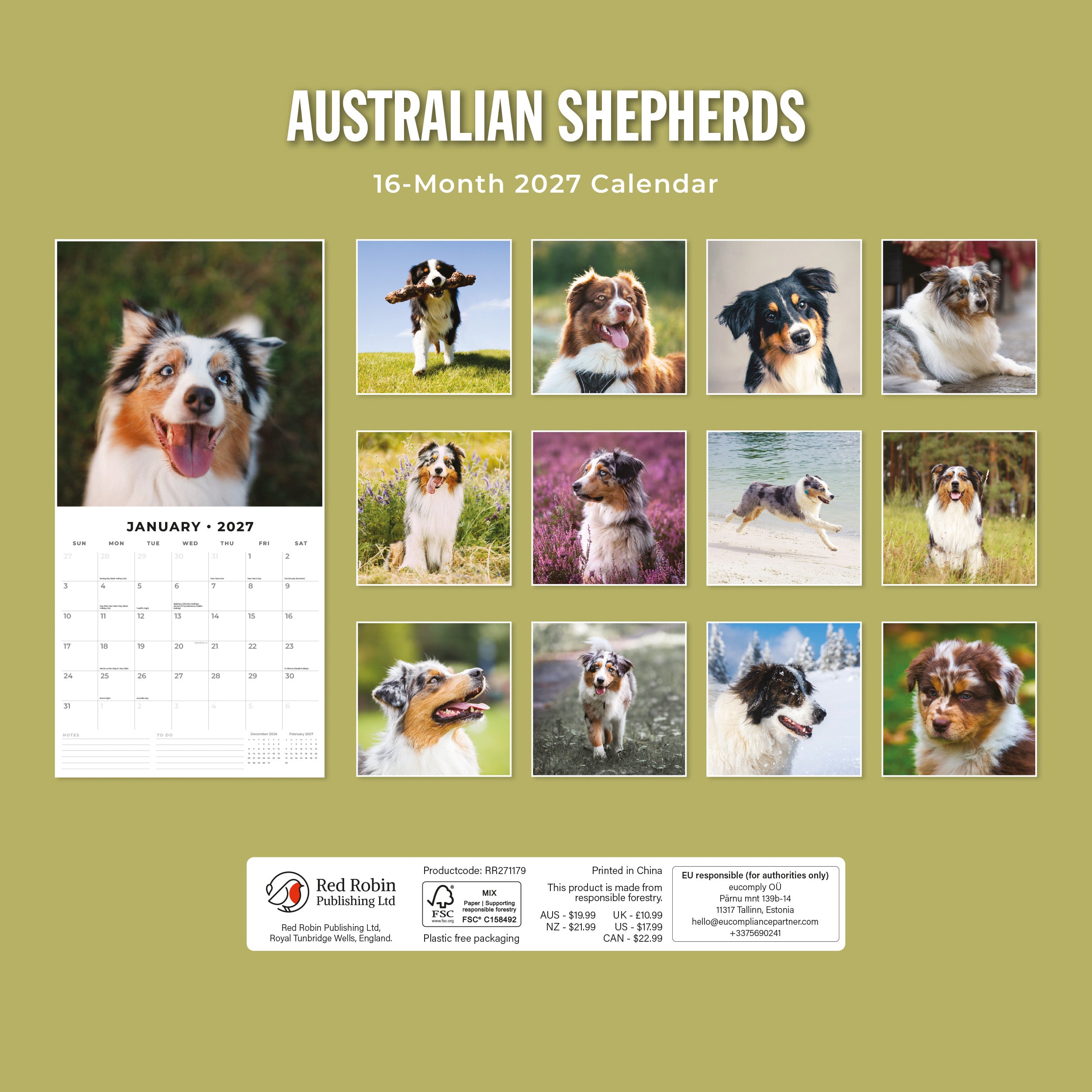 2027 Australian Shepherds - Square Wall Calendar
