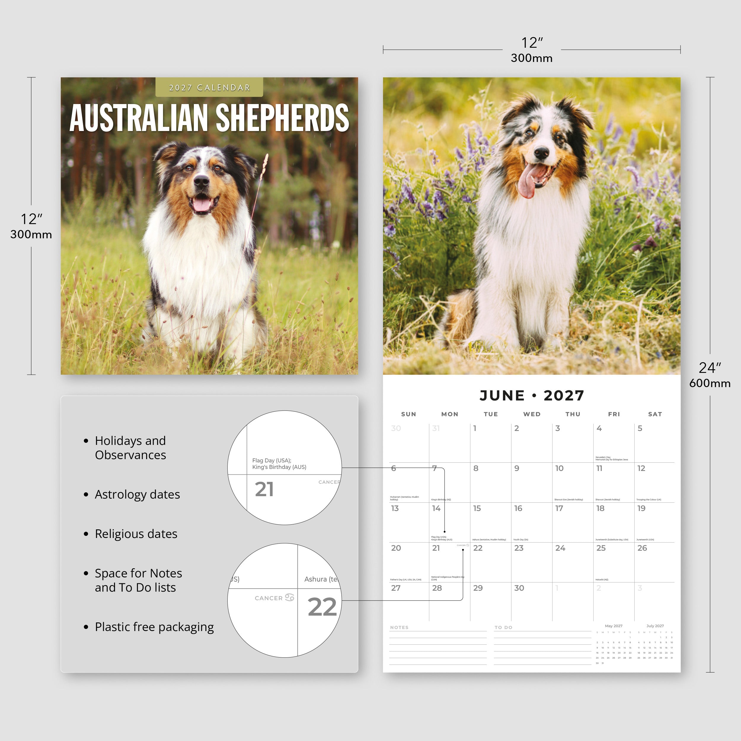 2027 Australian Shepherds - Square Wall Calendar