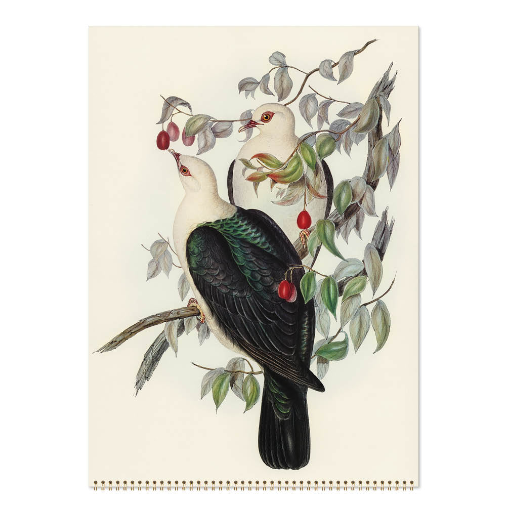 2027 Australian Birds John Gould - Deluxe Wall Calendar