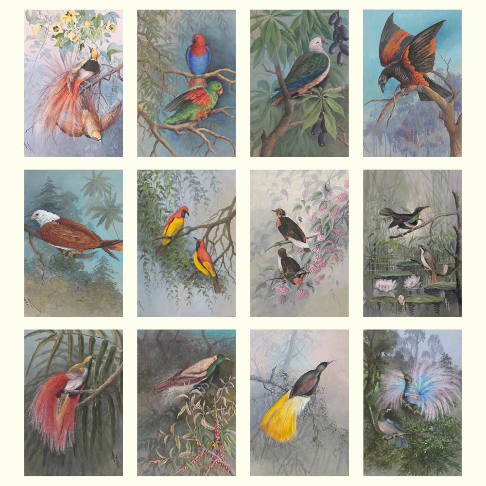 2027 Ellis Rowan Birds - Deluxe Wall Calendar