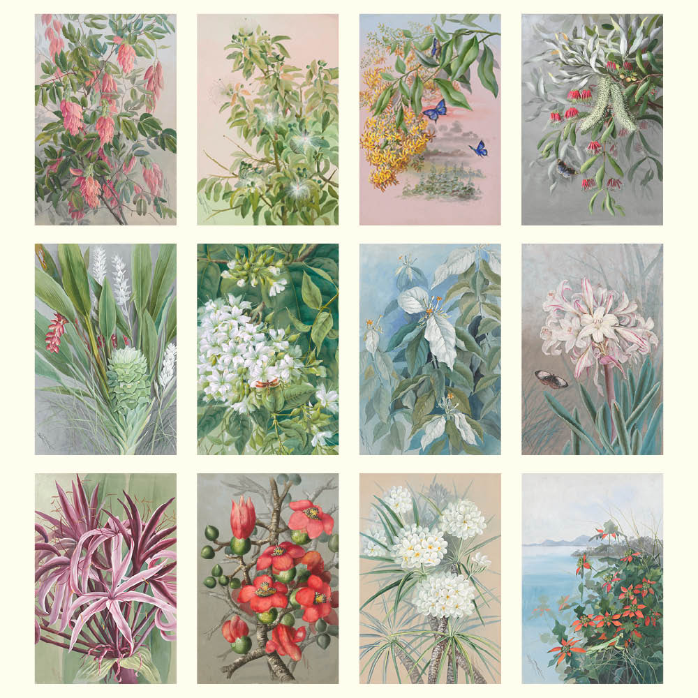 2027 Ellis Rowan Flowers - Deluxe Wall Calendar