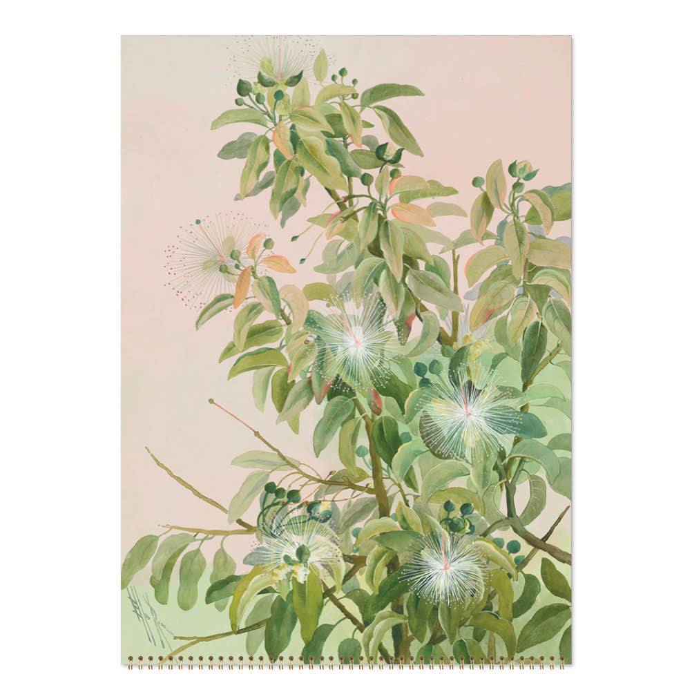 2027 Ellis Rowan Flowers - Deluxe Wall Calendar