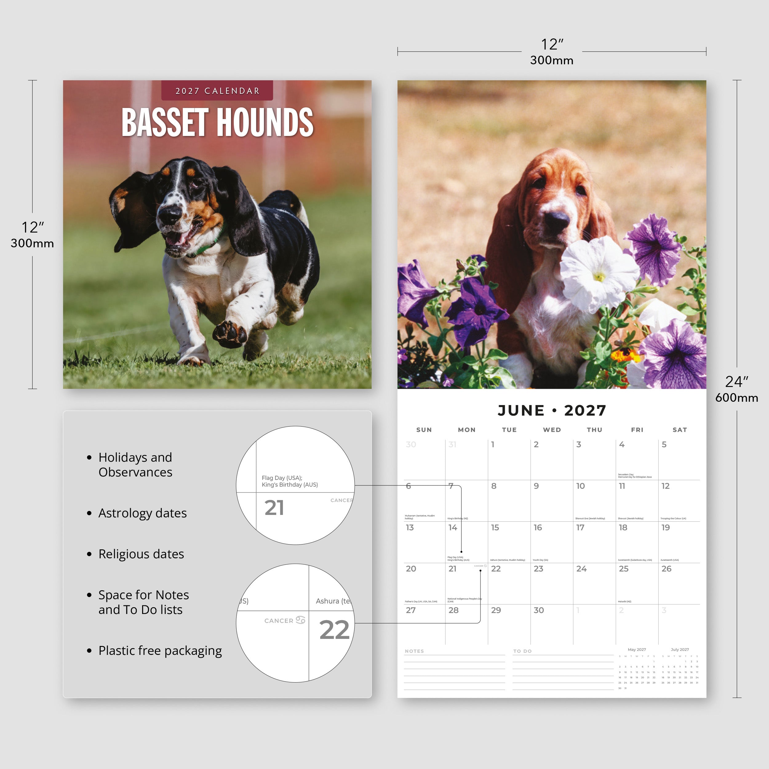 2027 Basset Hounds - Square Wall Calendar