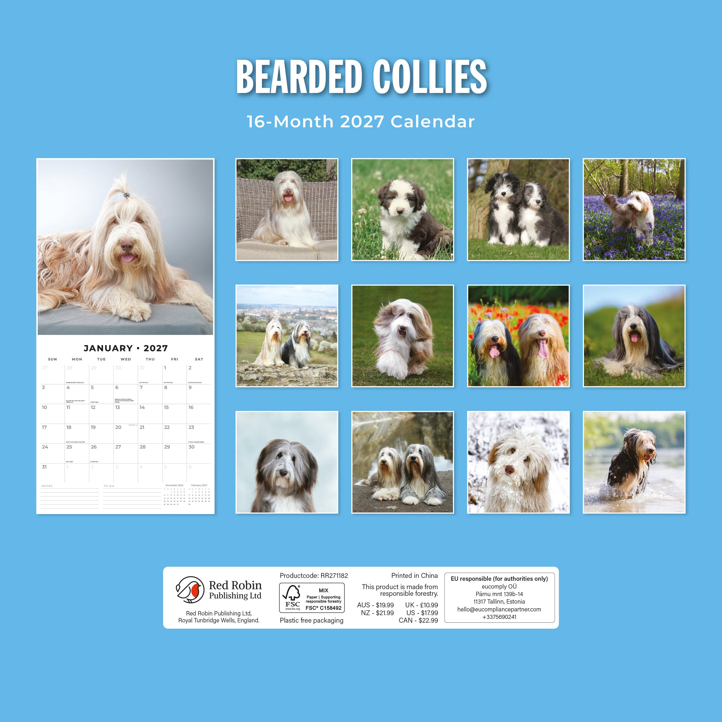 2027 Bearded Collies - Square Wall Calendar