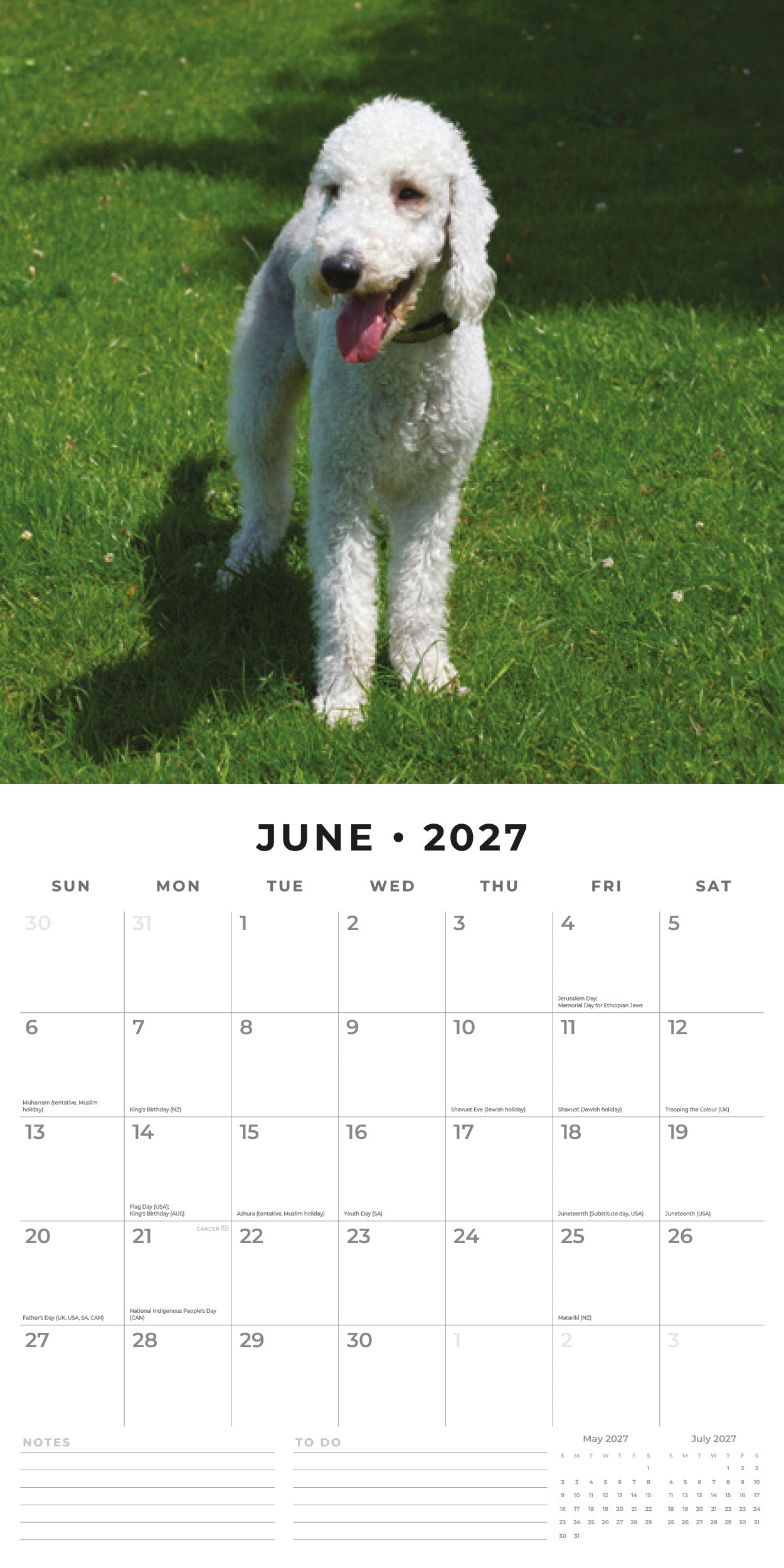 2027 Bedlington Terriers - Square Wall Calendar