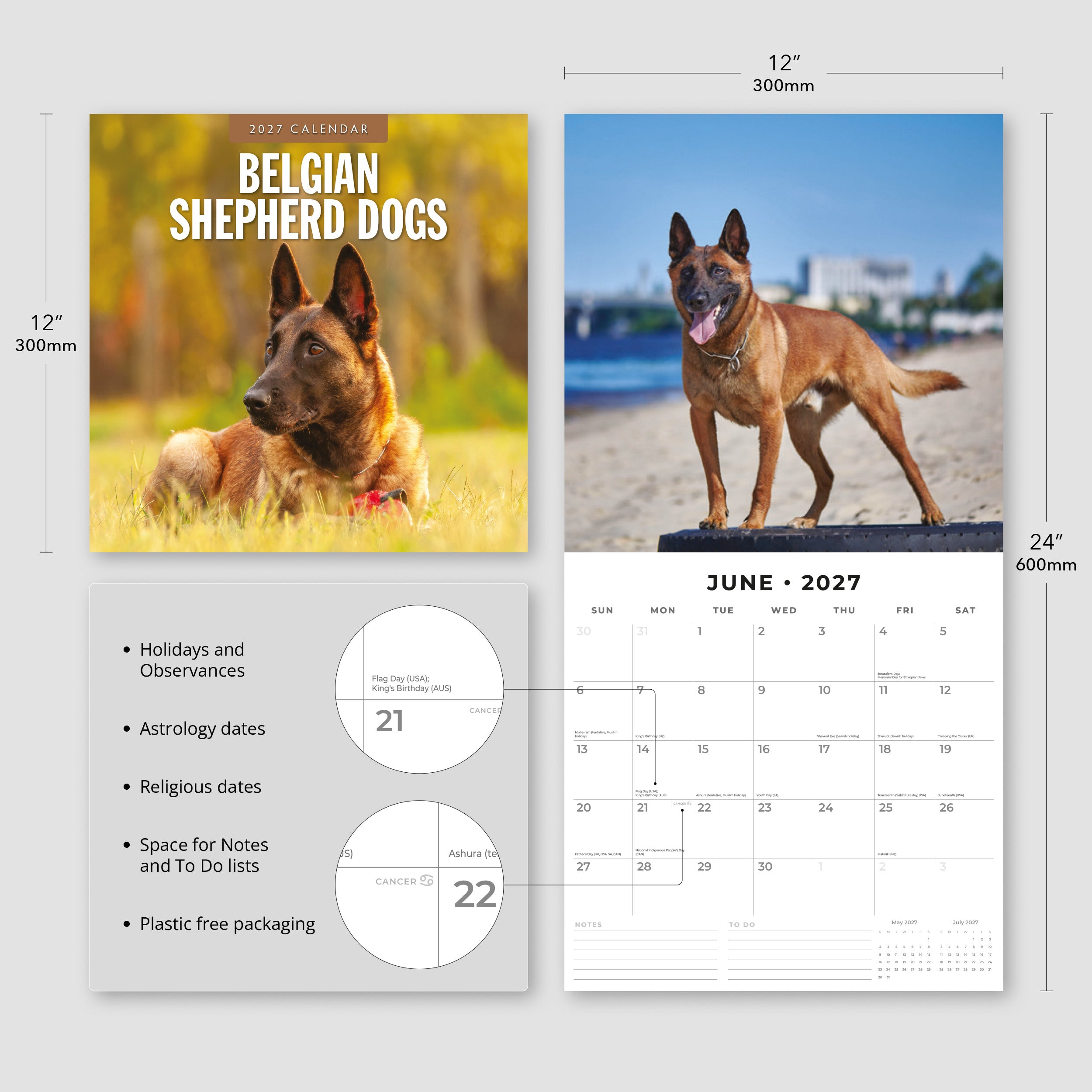 2027 Belgian Shepherd Dogs - Square Wall Calendar