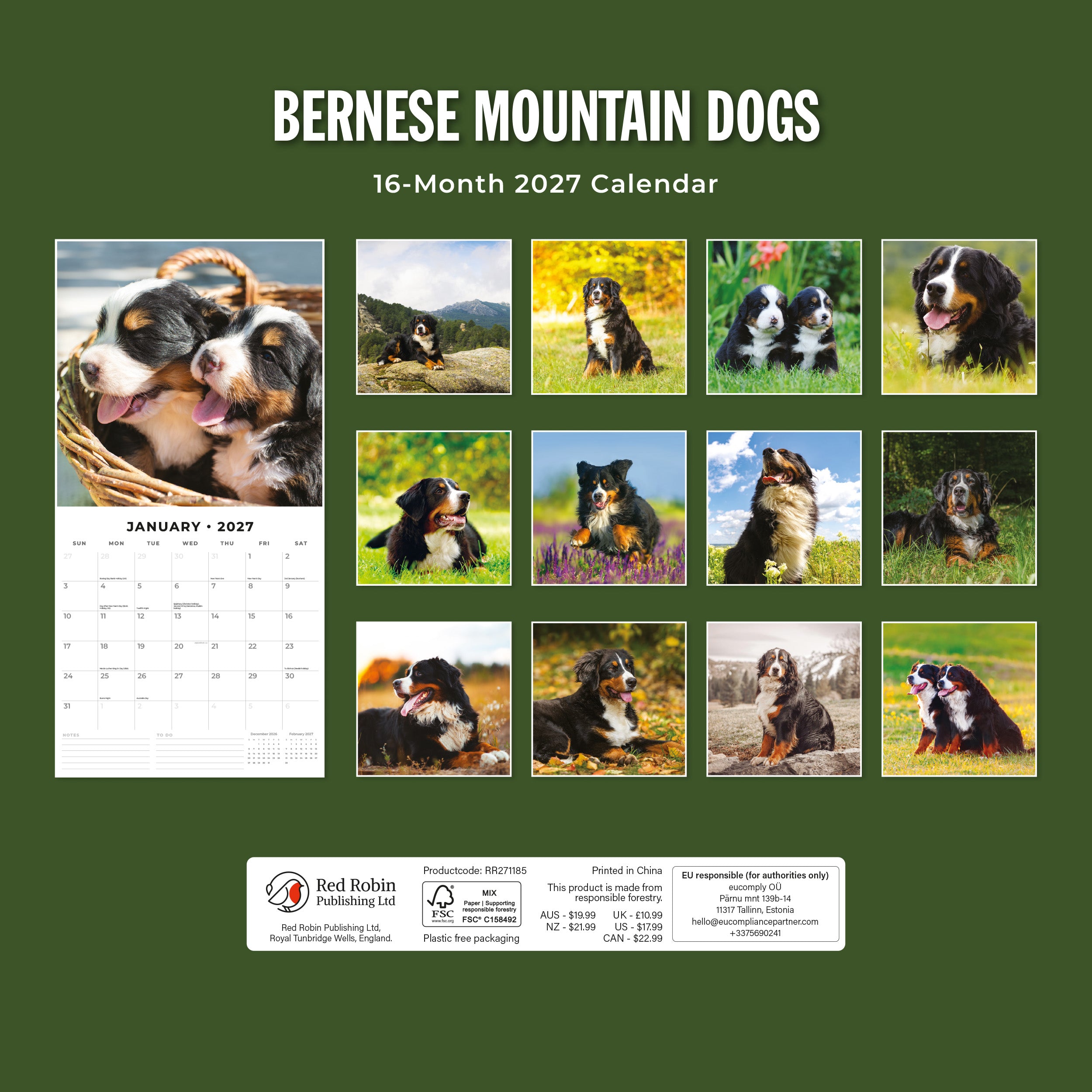 2027 Bernese Mountain Dogs - Square Wall Calendar