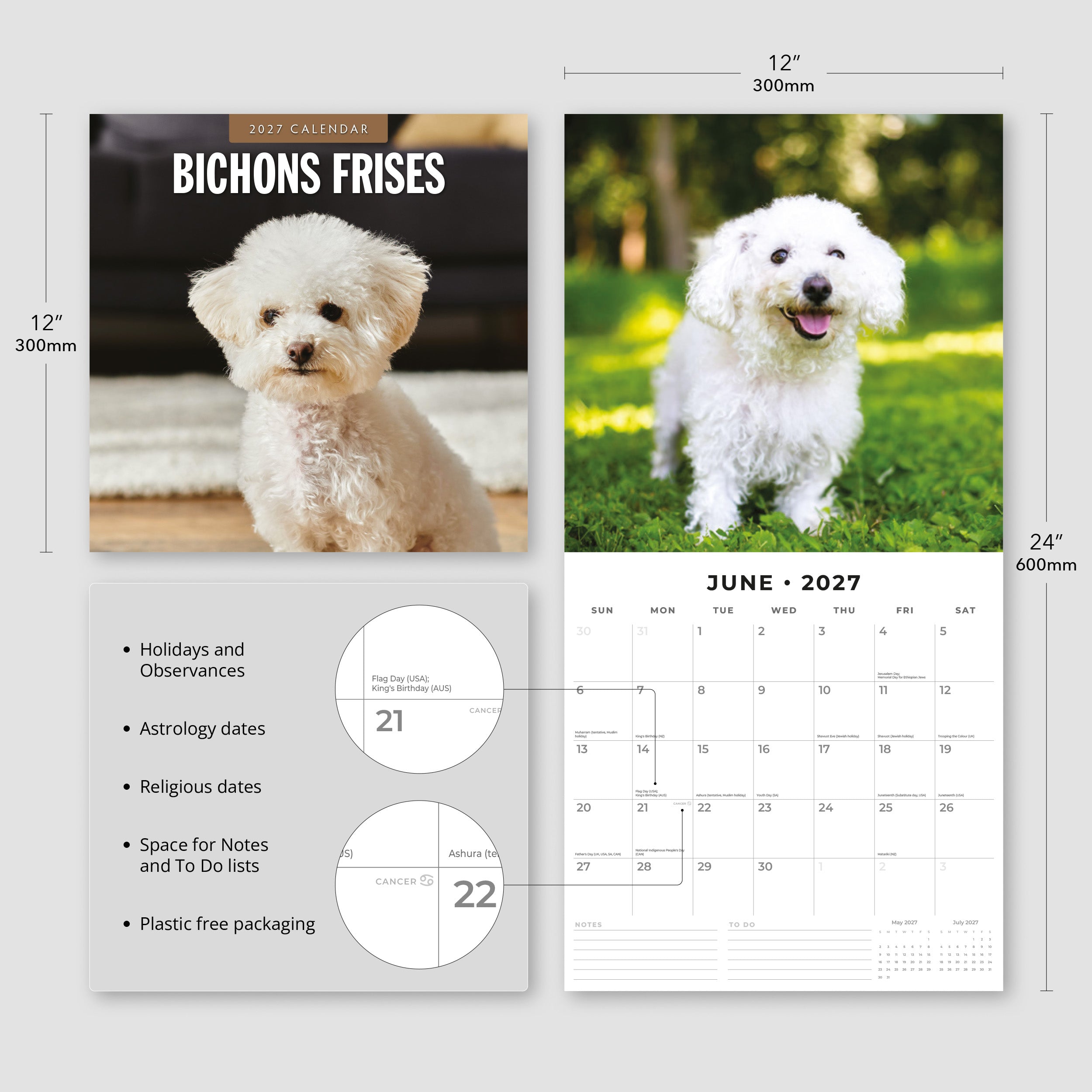 2027 Bichons Frises - Square Wall Calendar