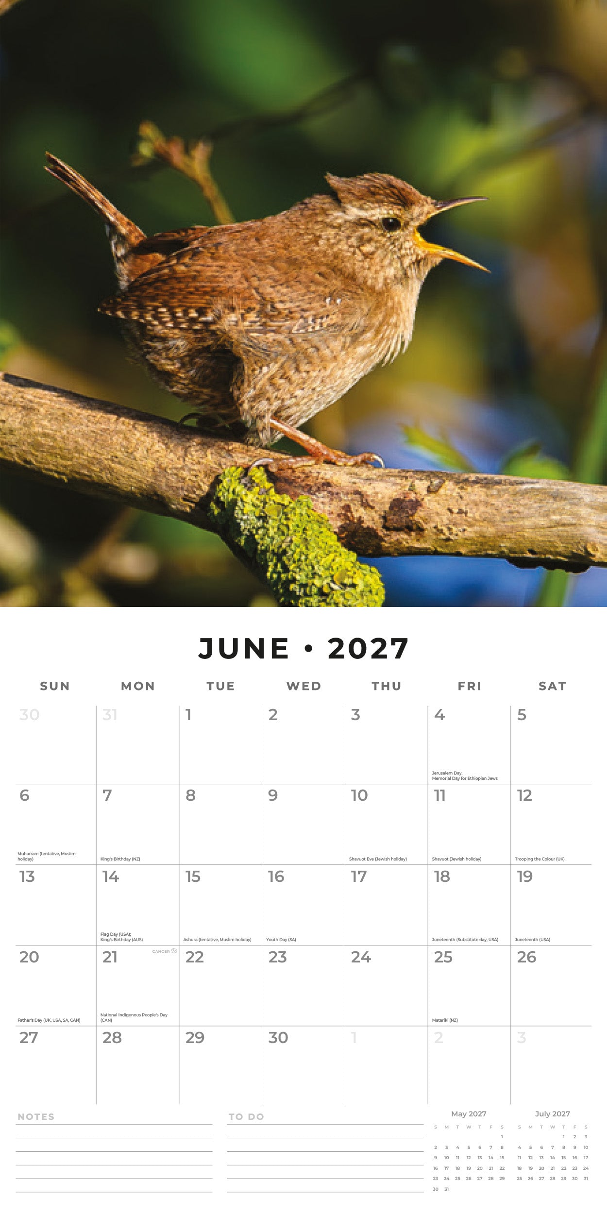 2027 Birds - Square Wall Calendar