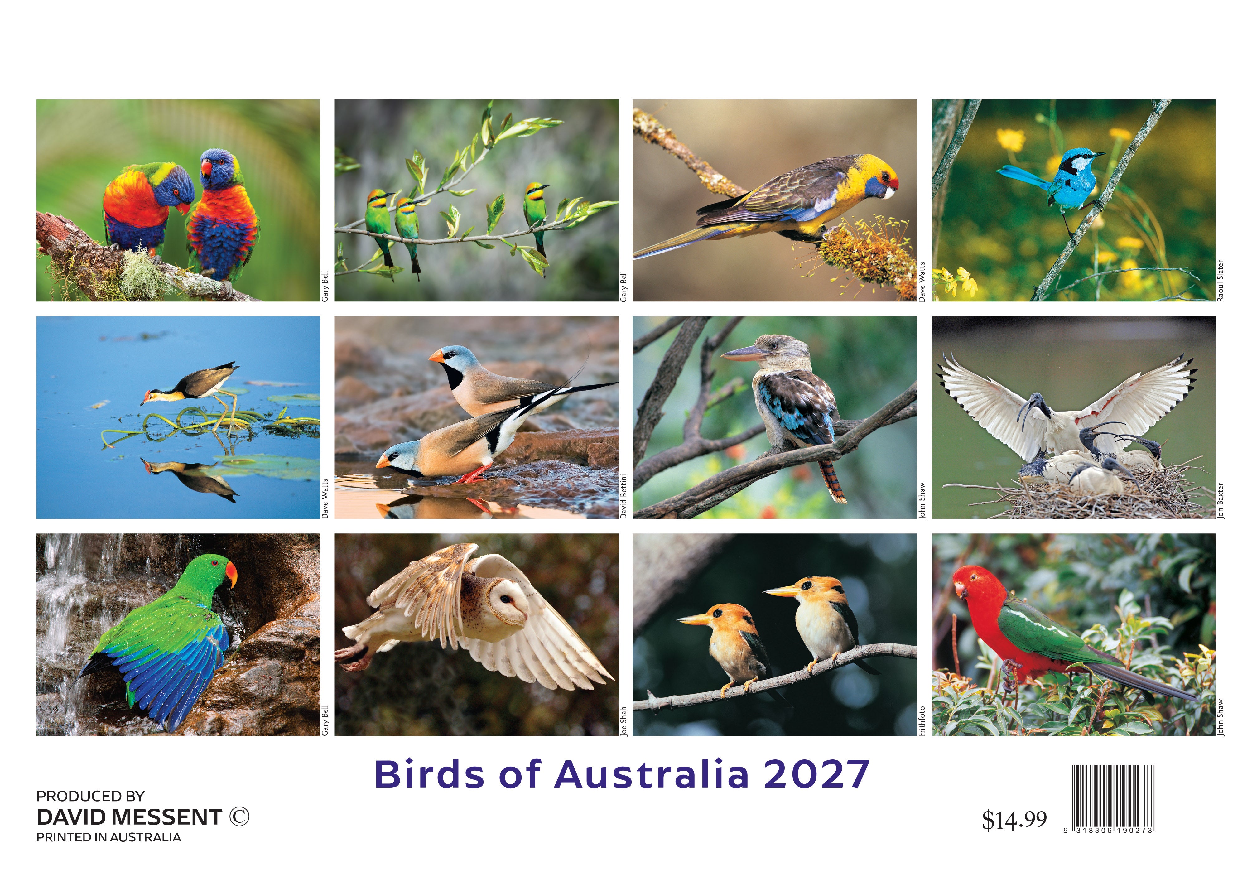 Birds_Back_9318306190273.jpg