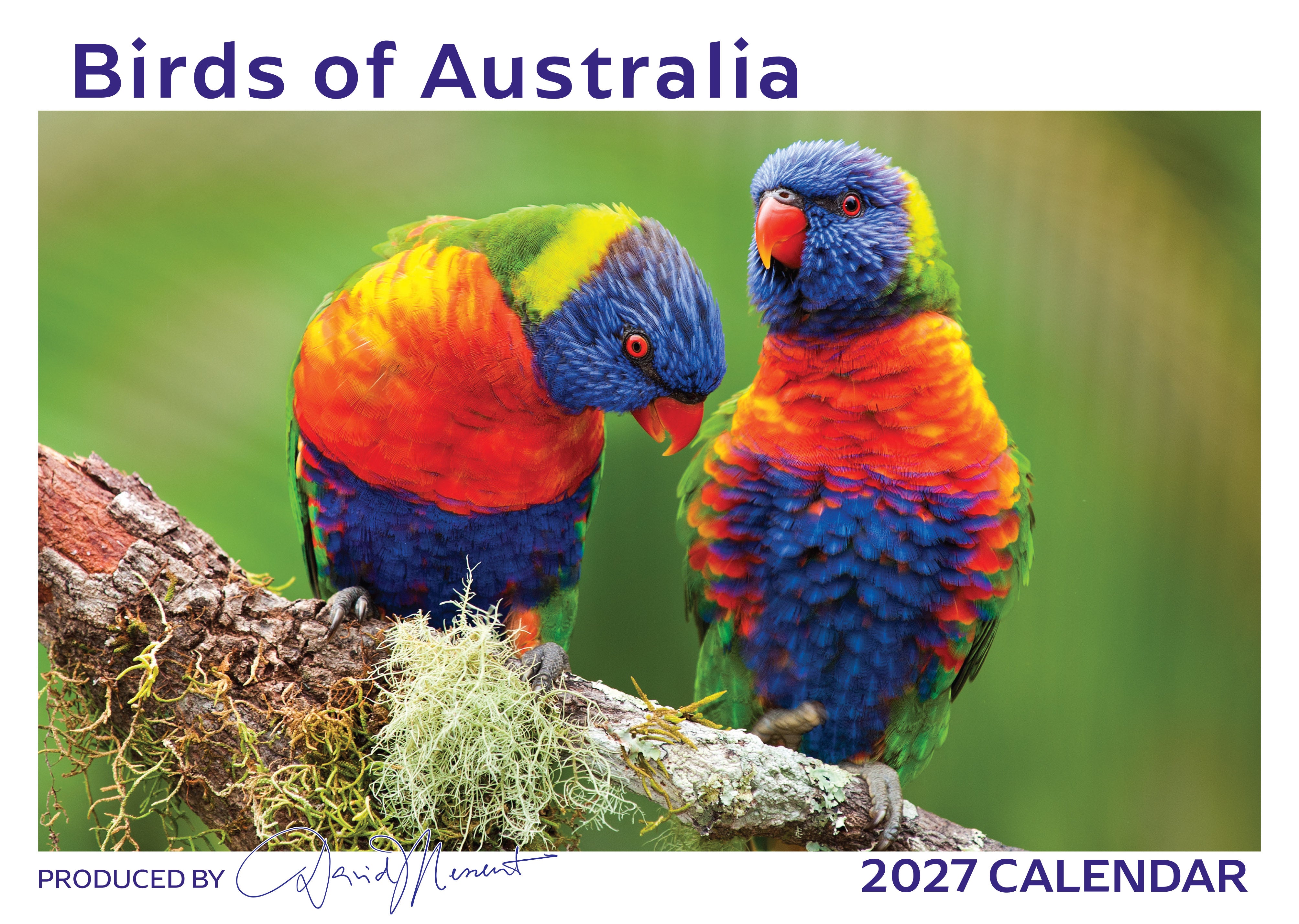 Birds_Front_9318306190273.jpg