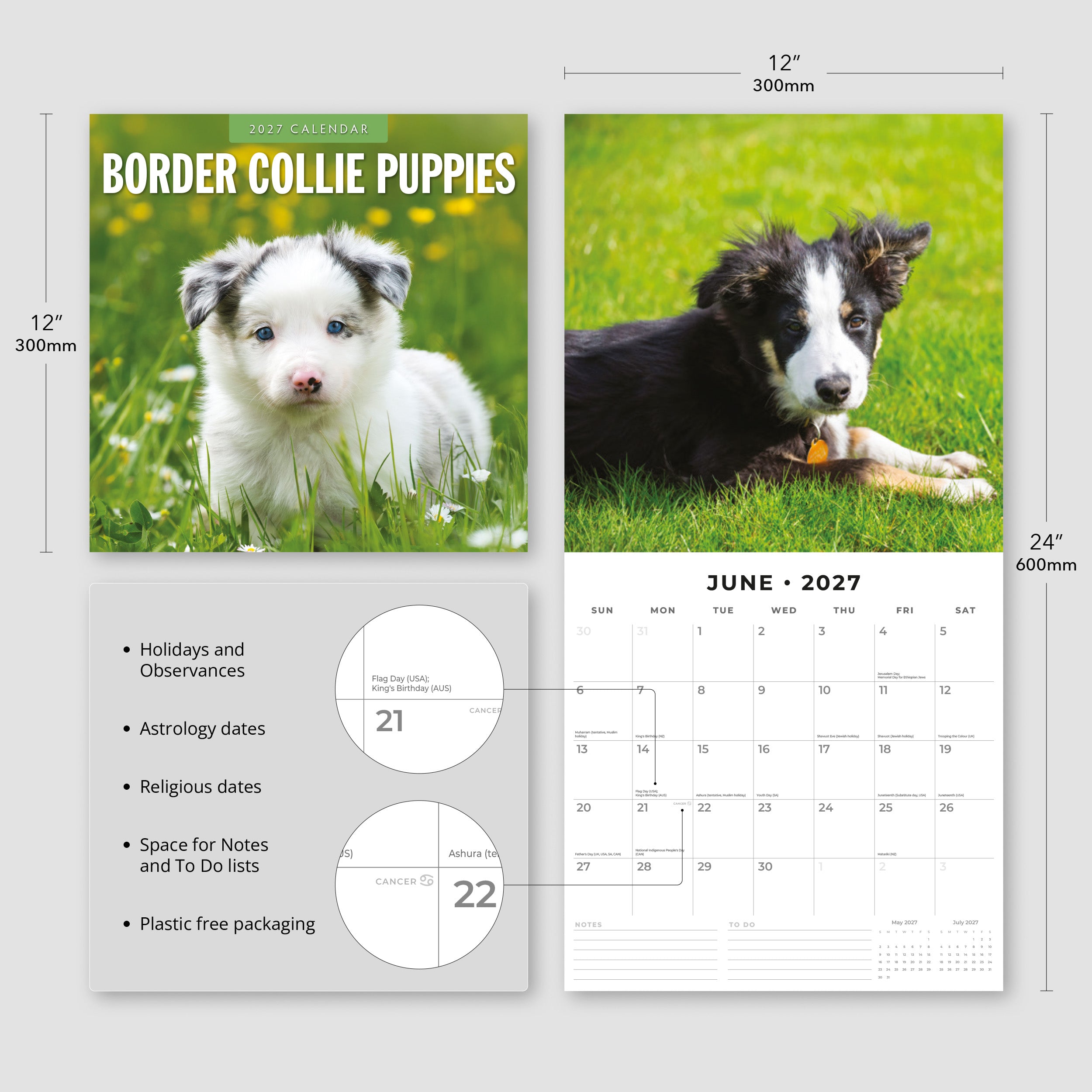 2027 Border Collie Puppies - Square Wall Calendar