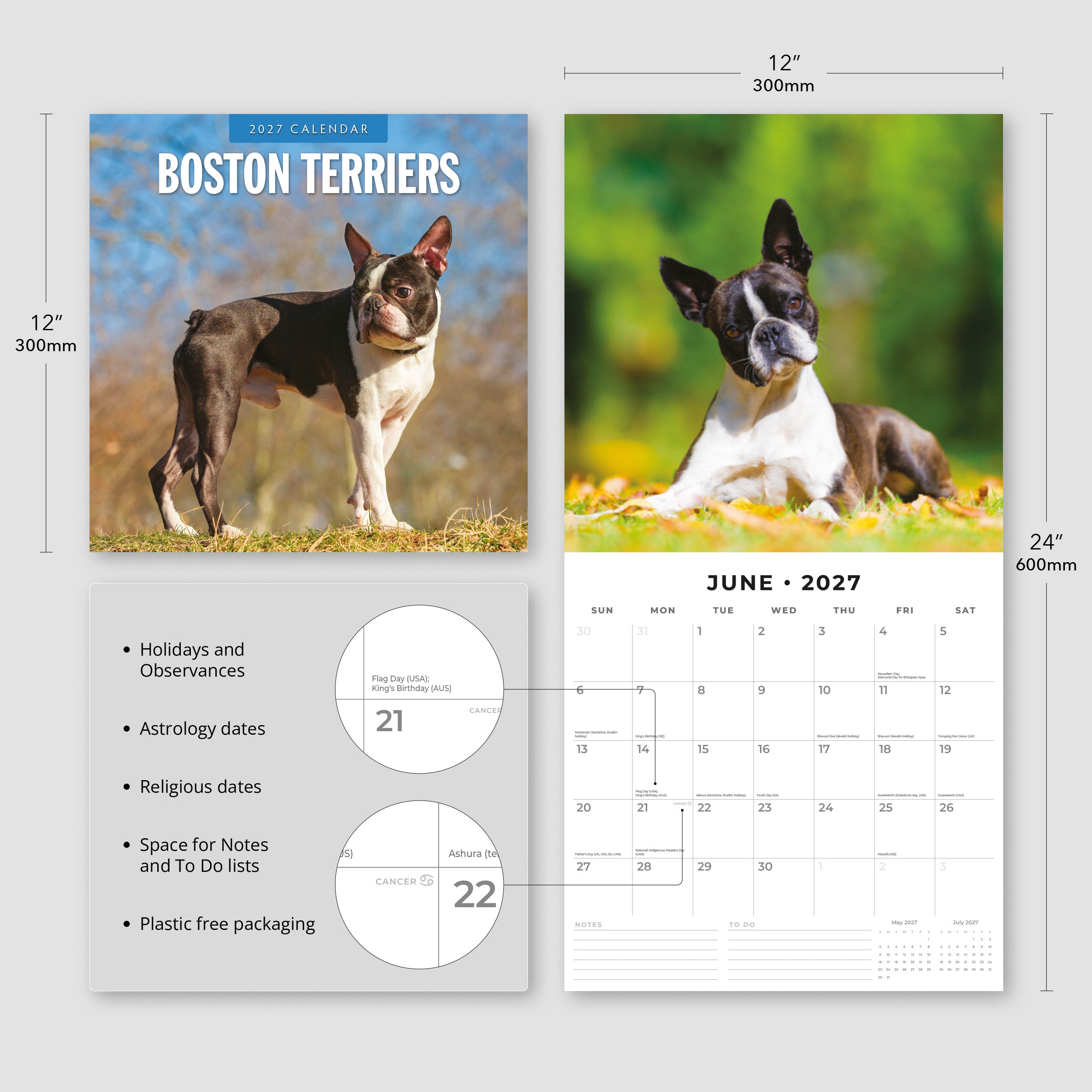 2027 Boston Terriers - Square Wall Calendar