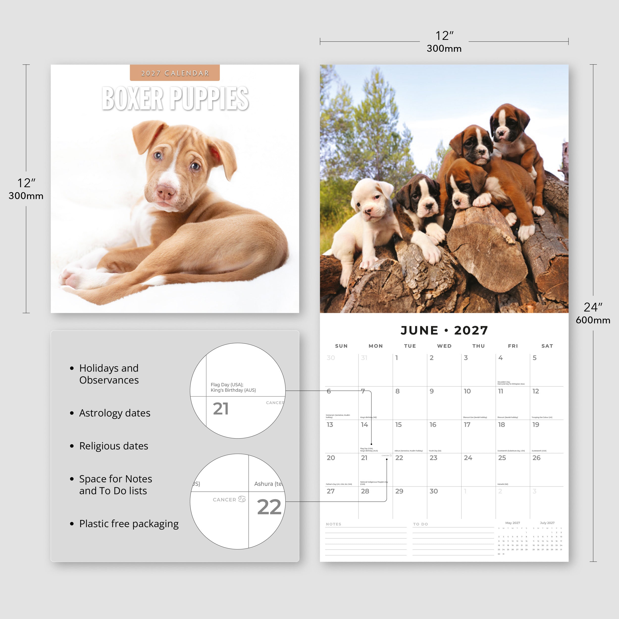 2027 Boxer Puppies - Square Wall Calendar