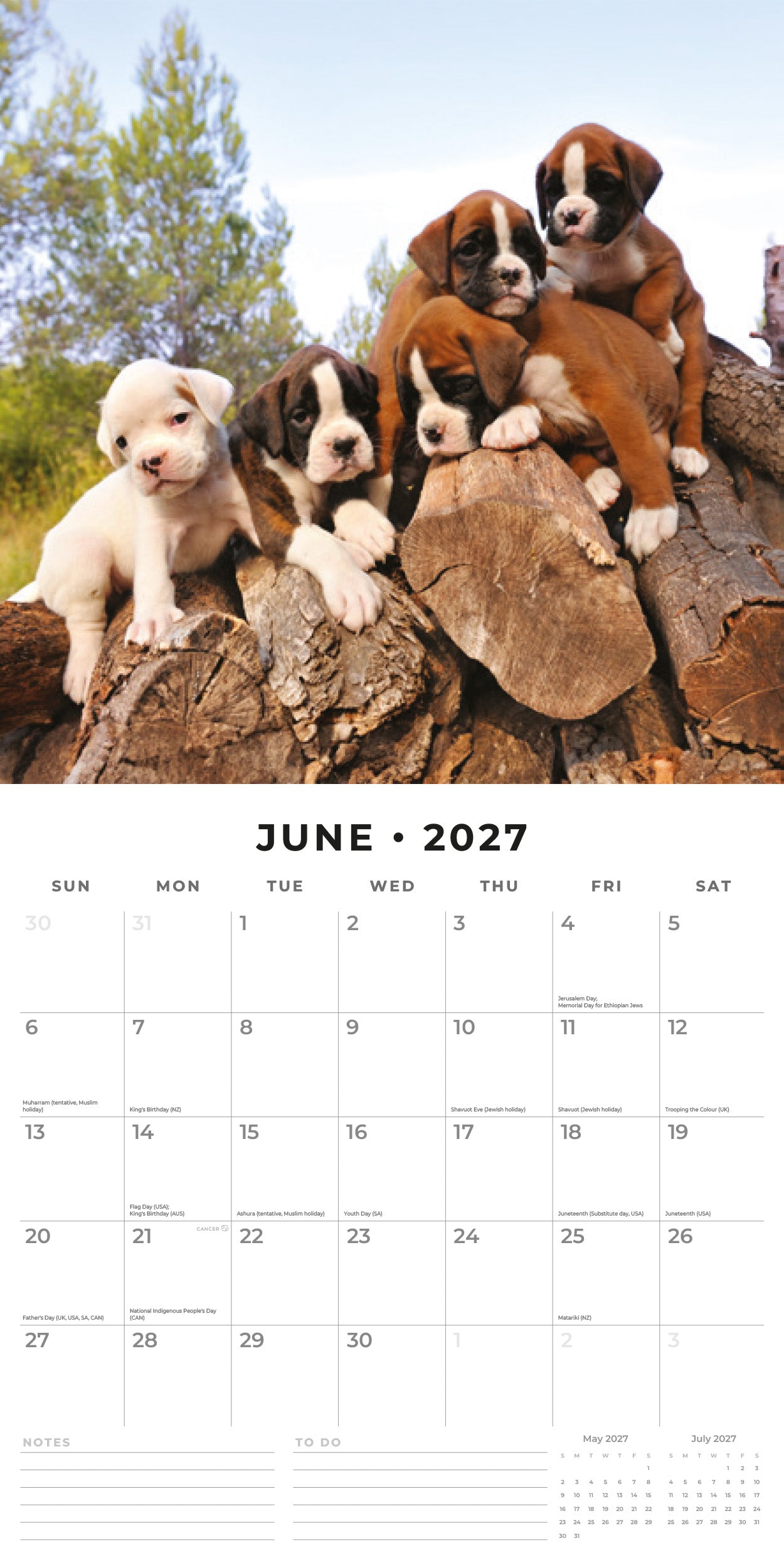 2027 Boxer Puppies - Square Wall Calendar