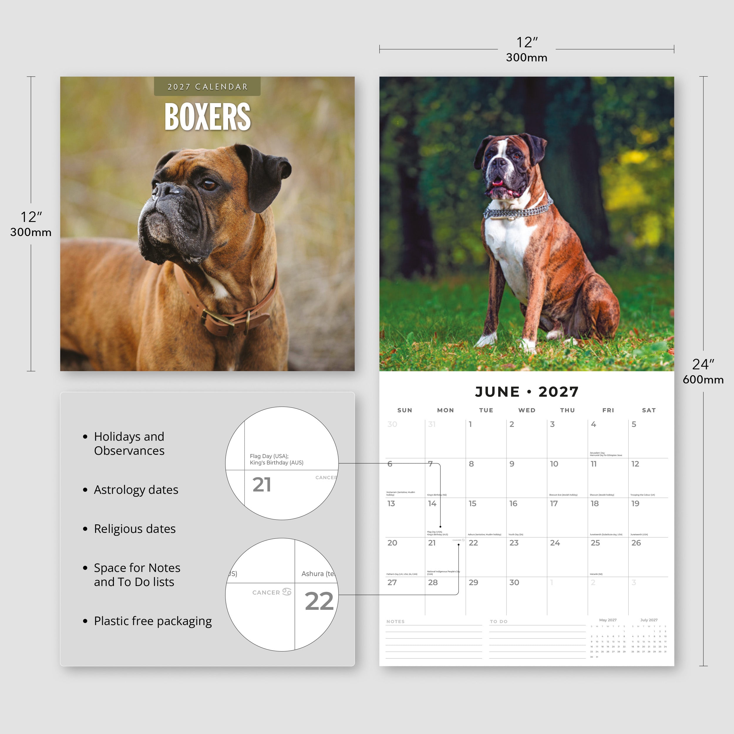 2027 Boxers - Square Wall Calendar