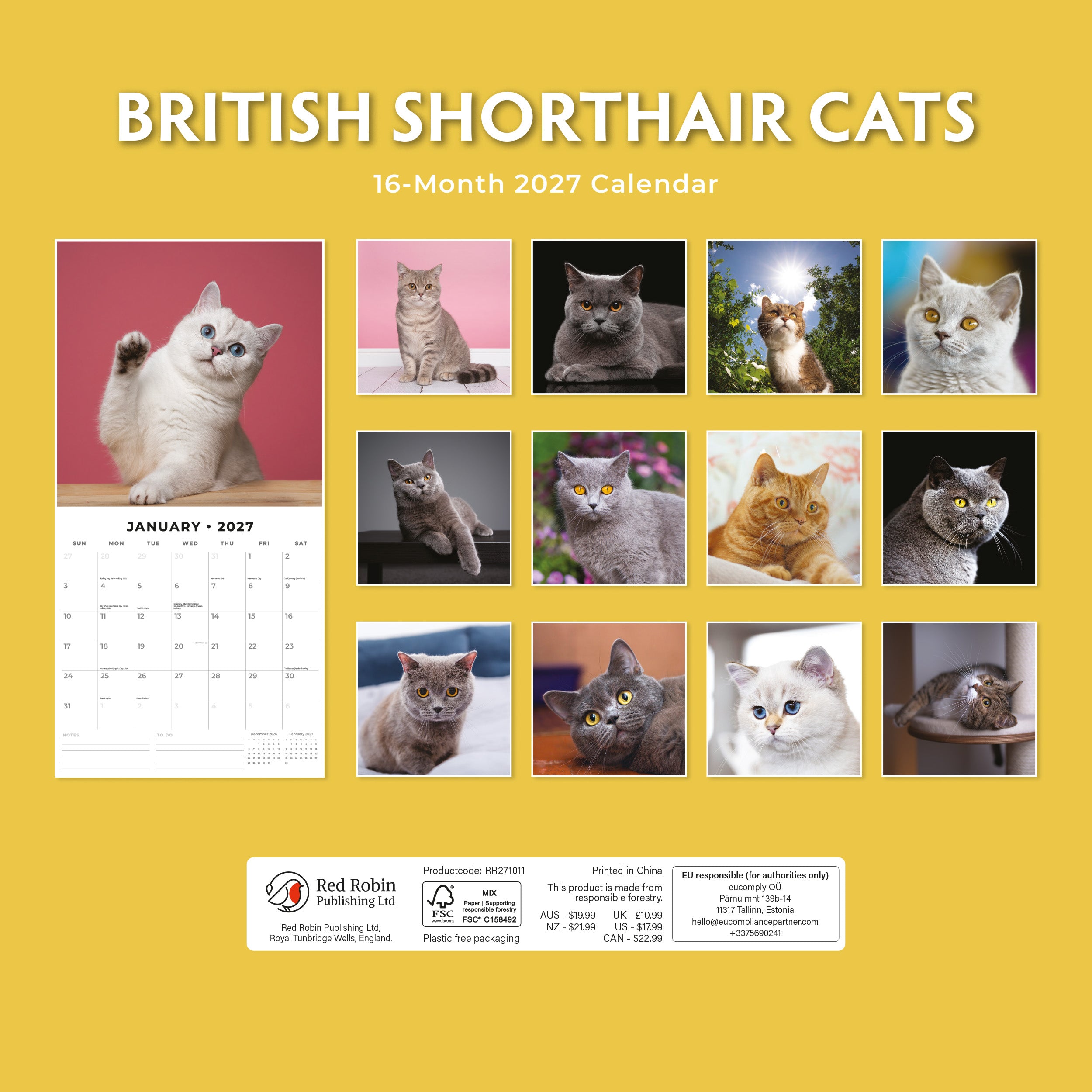 2027 British Shorthair Cats - Square Wall Calendar