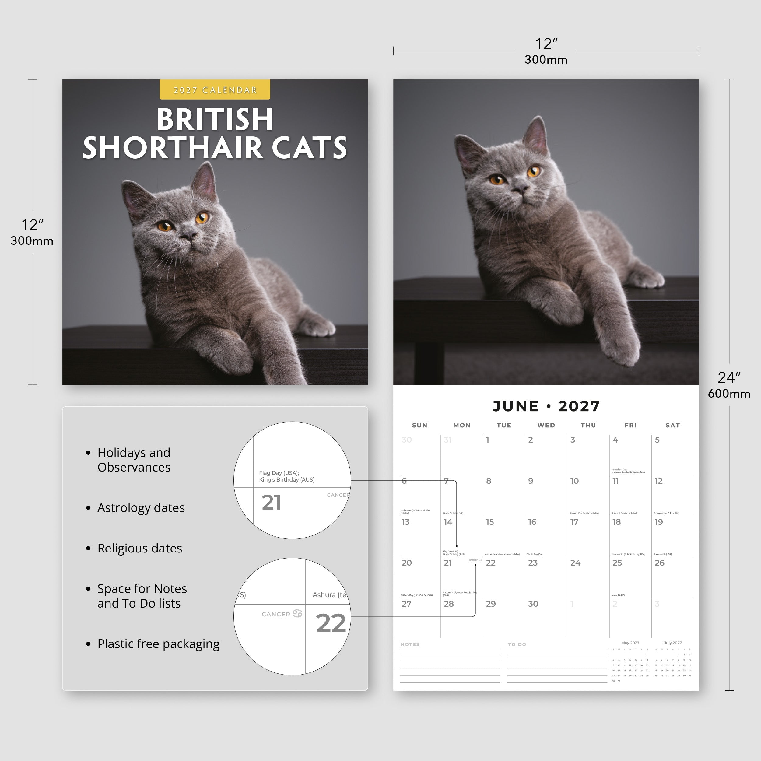 2027 British Shorthair Cats - Square Wall Calendar