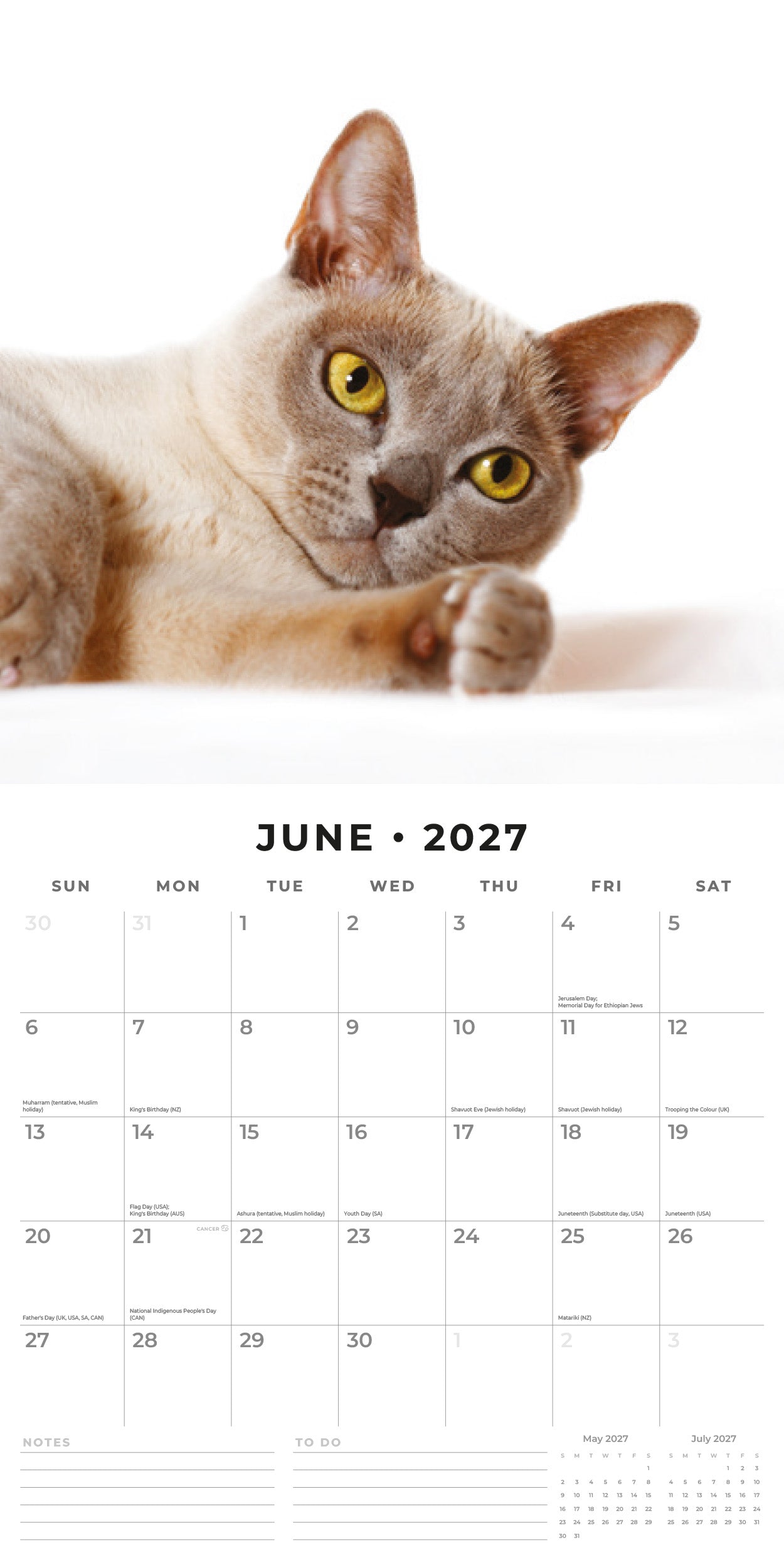 2027 Burmese Cats - Square Wall Calendar