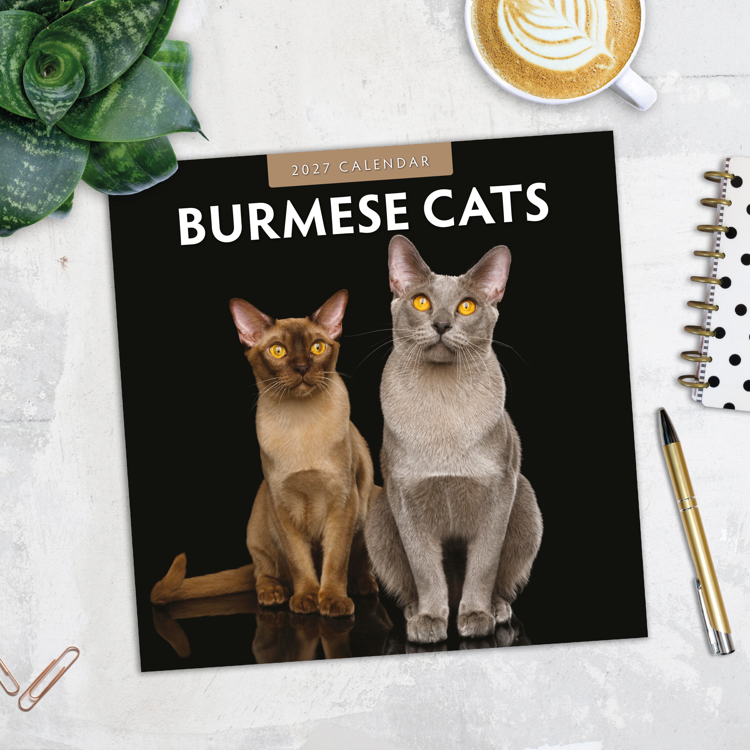 2027 Burmese Cats - Square Wall Calendar