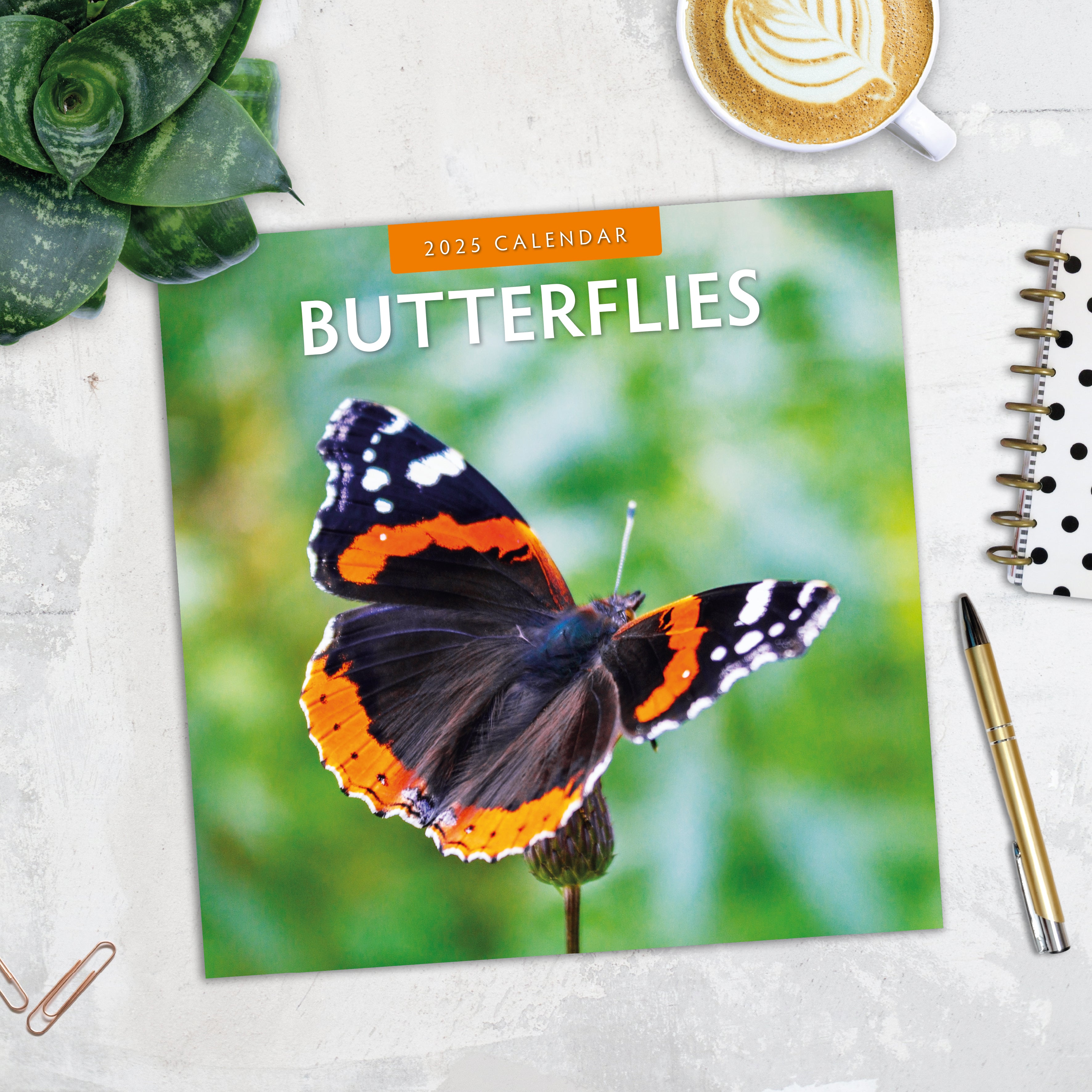 2025 Butterflies - Square Wall Calendar