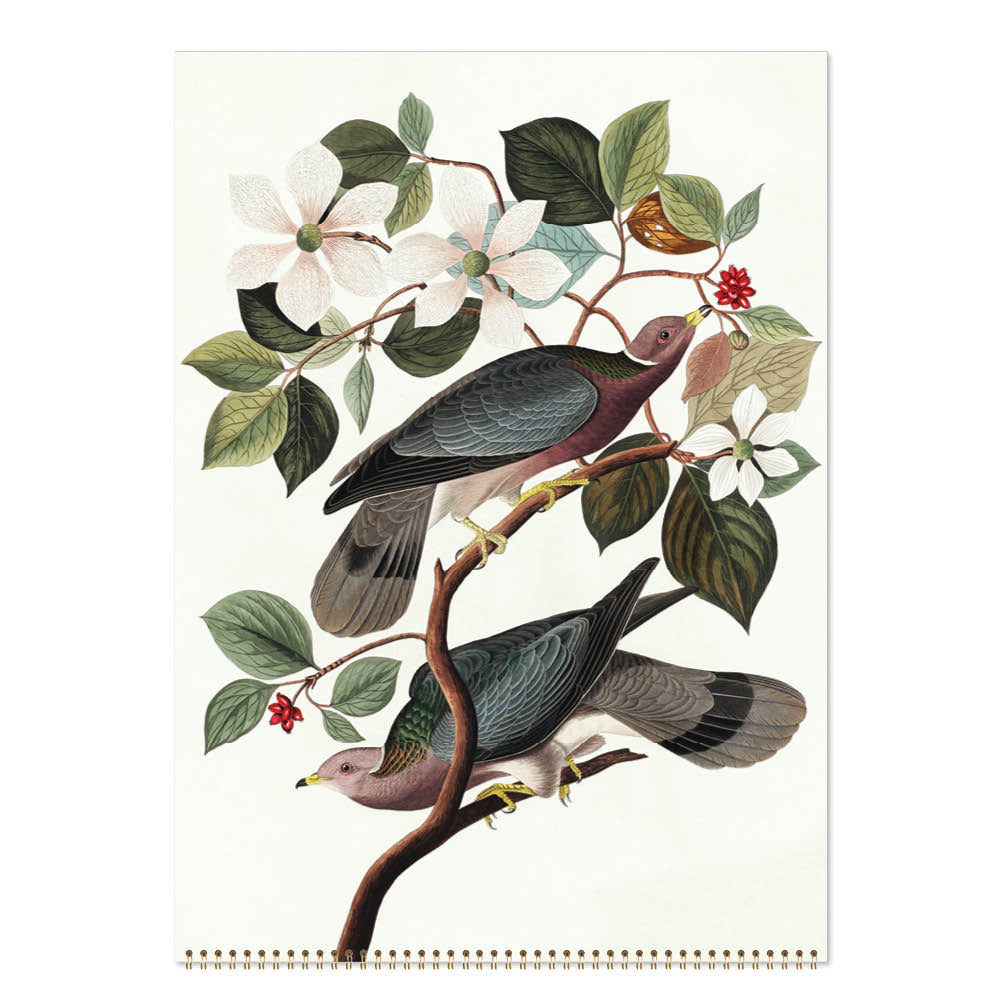 2027 Audubon's Birds - Deluxe Wall Calendar
