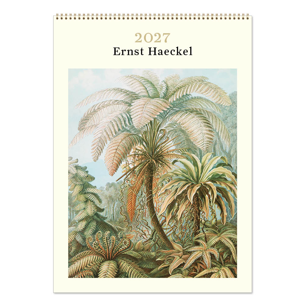 2027 Ernst Haeckel - Deluxe Wall Calendar