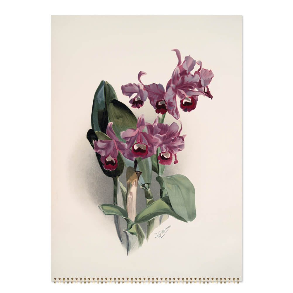 2027 Orchids - Deluxe Wall Calendar