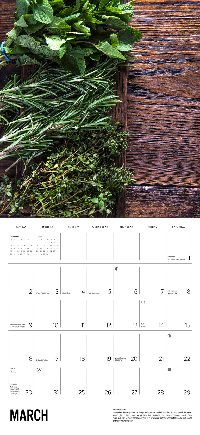 2025 Herbs - Square Wall Calendar