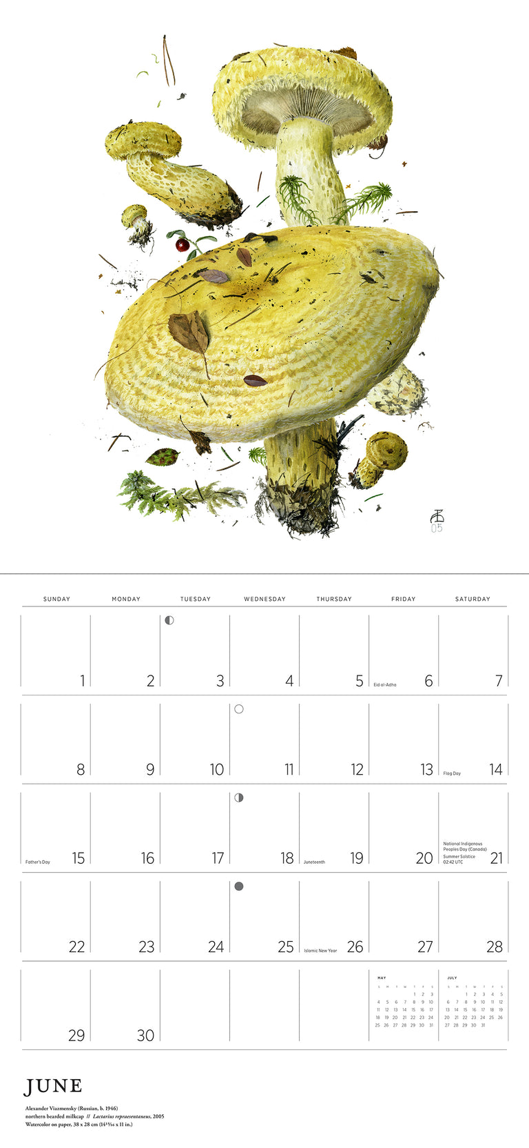 2025 Mushrooms: Alexander Viazmensky - Square Wall Calendar