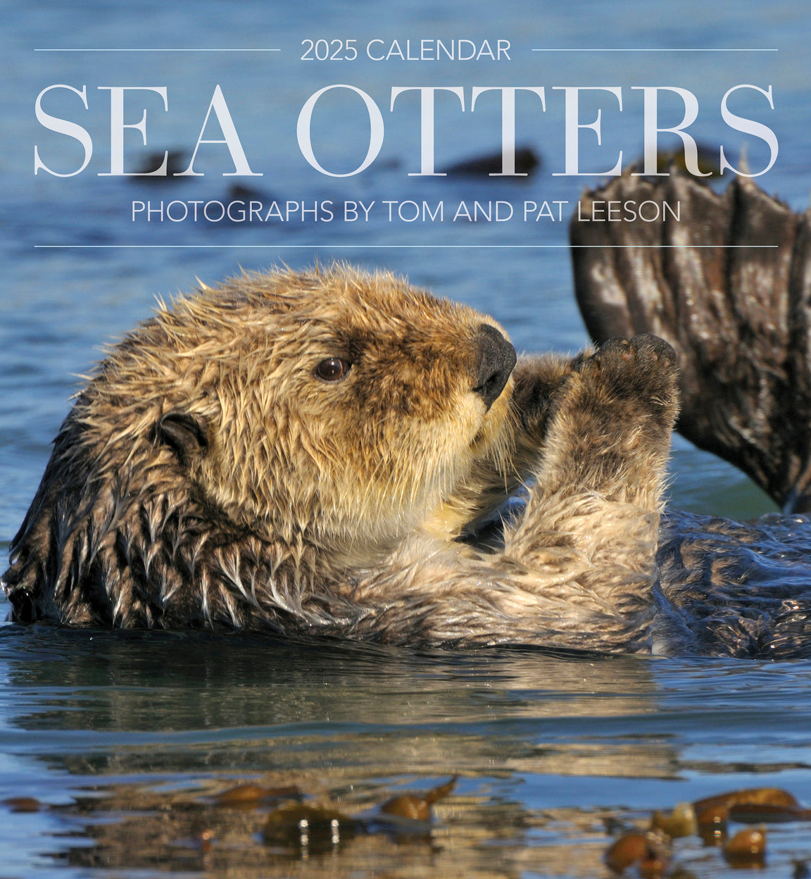 2025 Sea Otters: Photographs By Tom and Pat Leeson - Square Wall Calendar