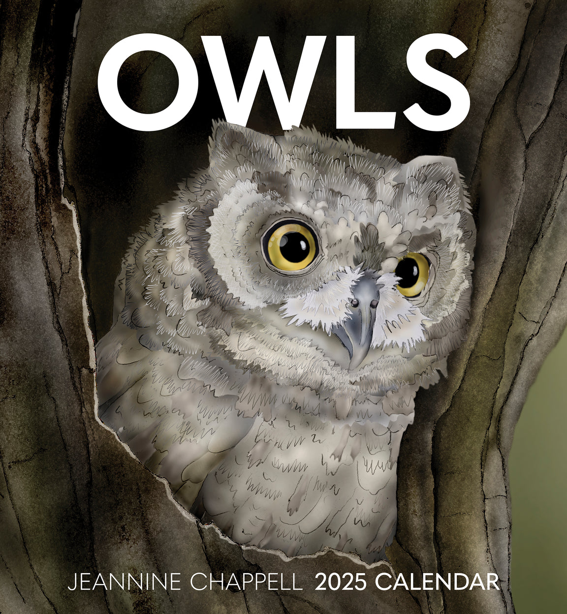 2025 Owls: Jeannine Chappell - Square Wall Calendar