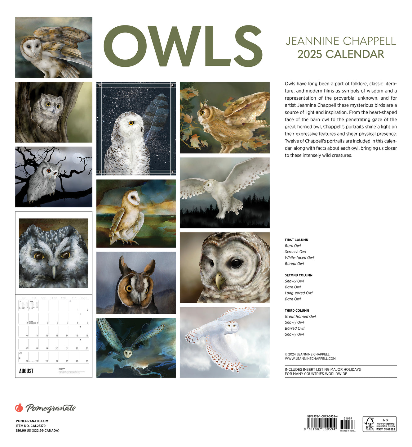 2025 Owls: Jeannine Chappell - Square Wall Calendar