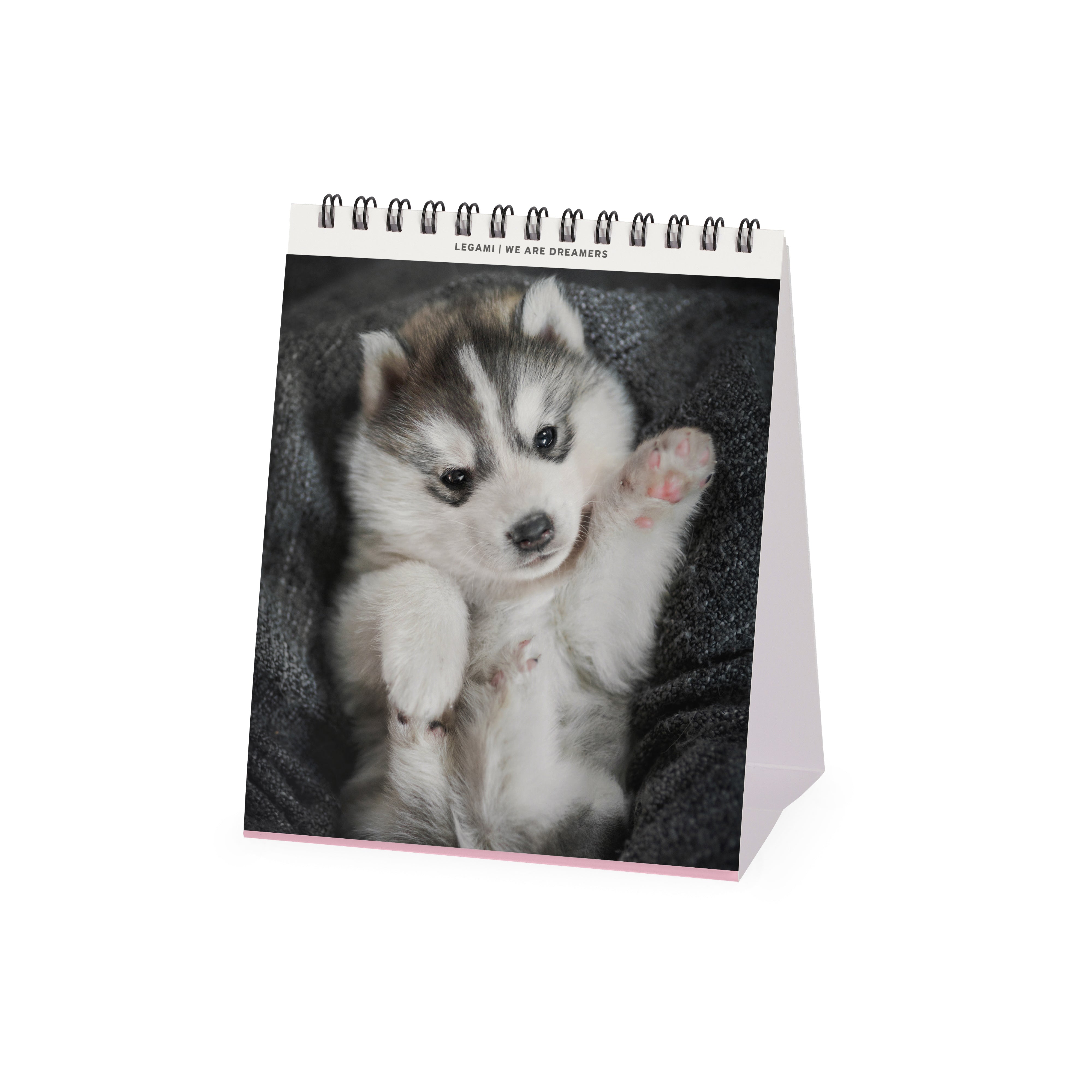 2026 Puppies - Desk Easel Calendar