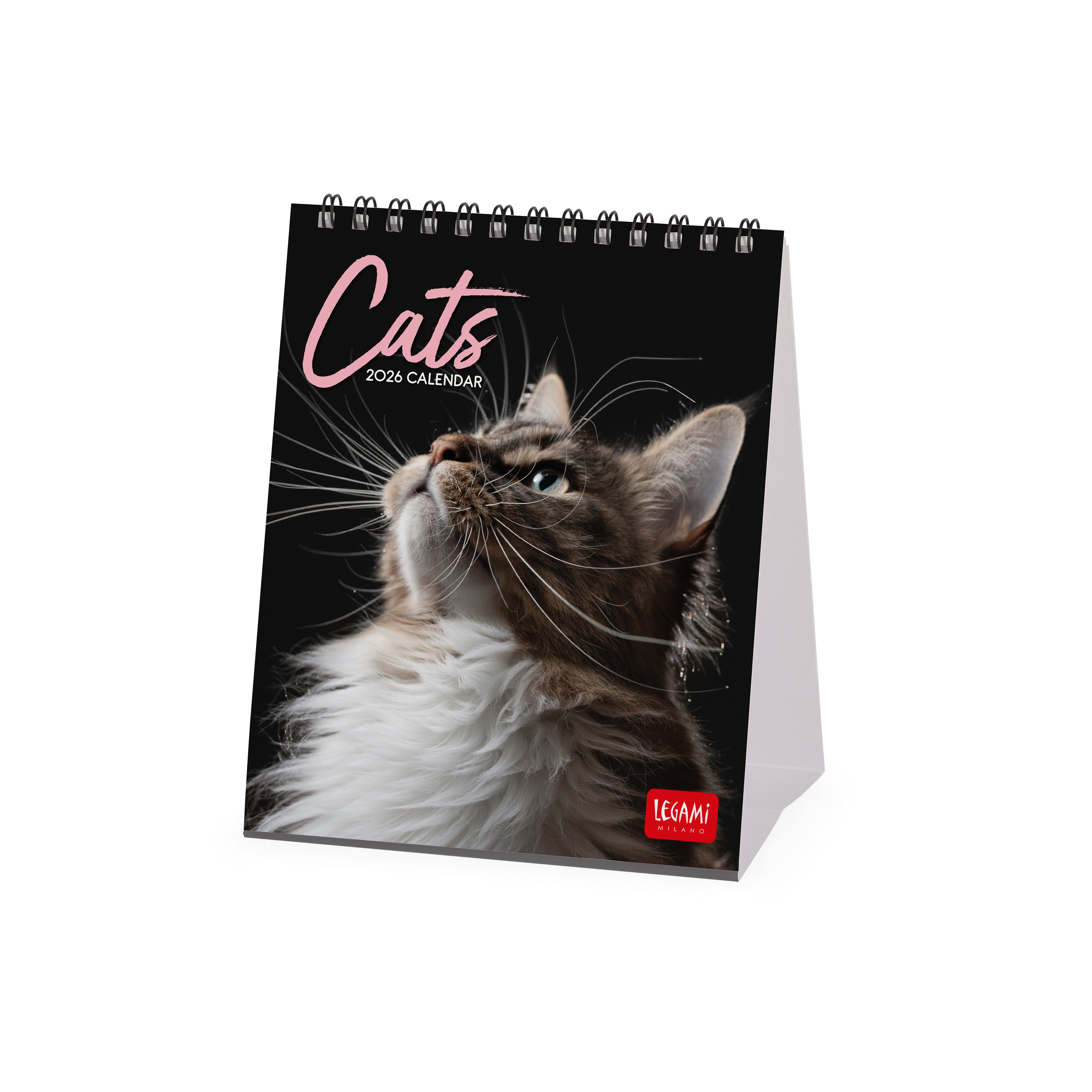 2026 Cats - Desk Easel Calendar