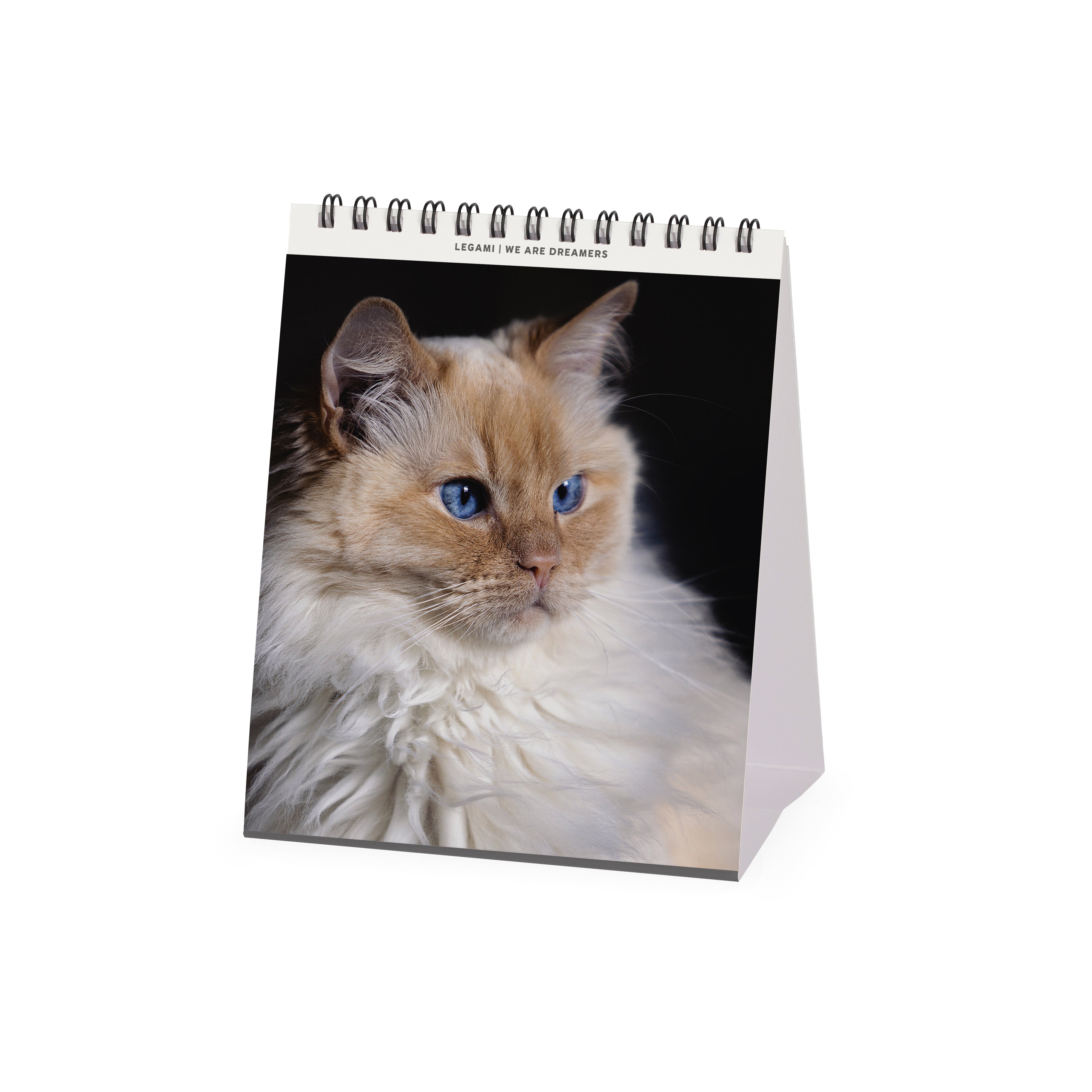 2026 Cats - Desk Easel Calendar