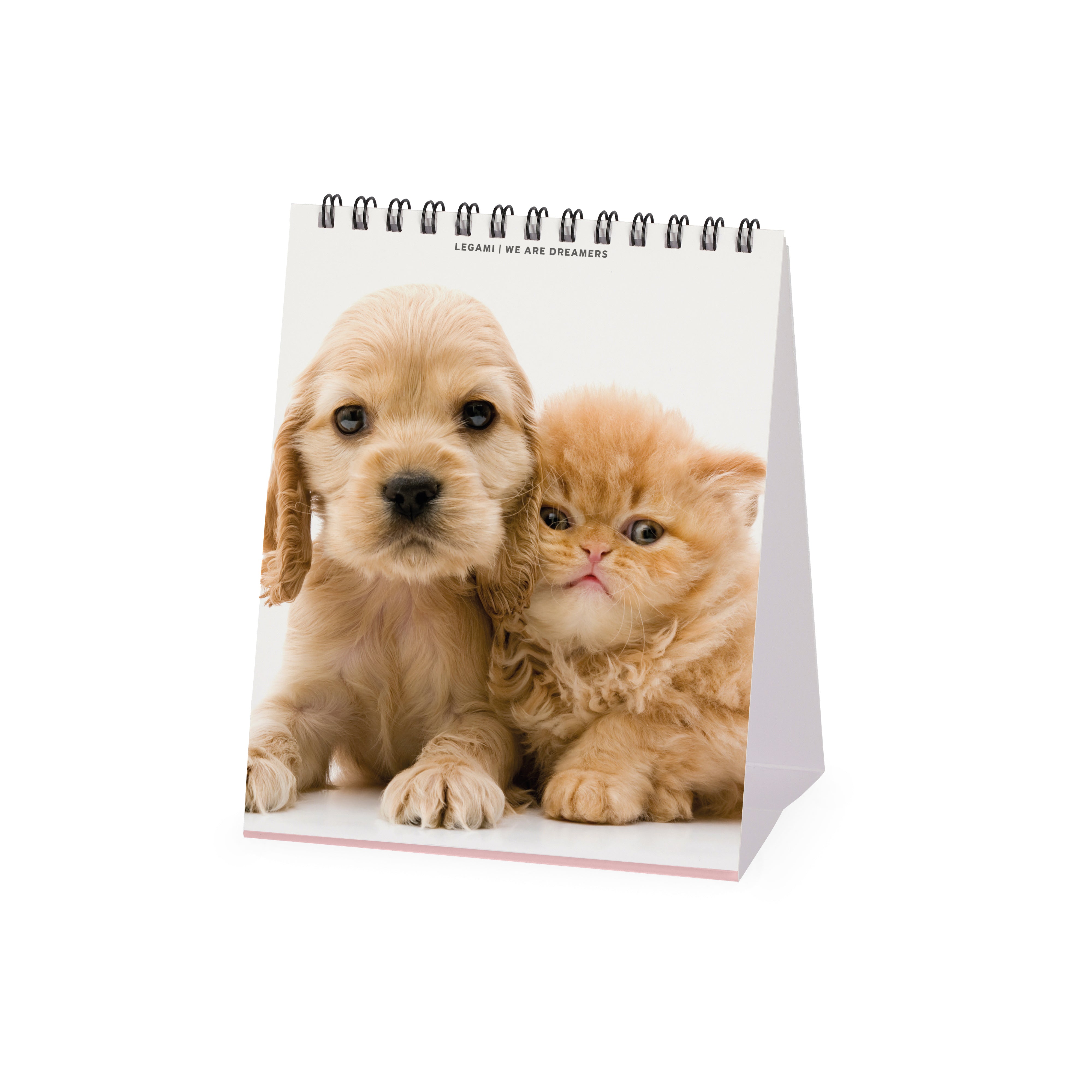 2026 Best Friends - Desk Easel Calendar