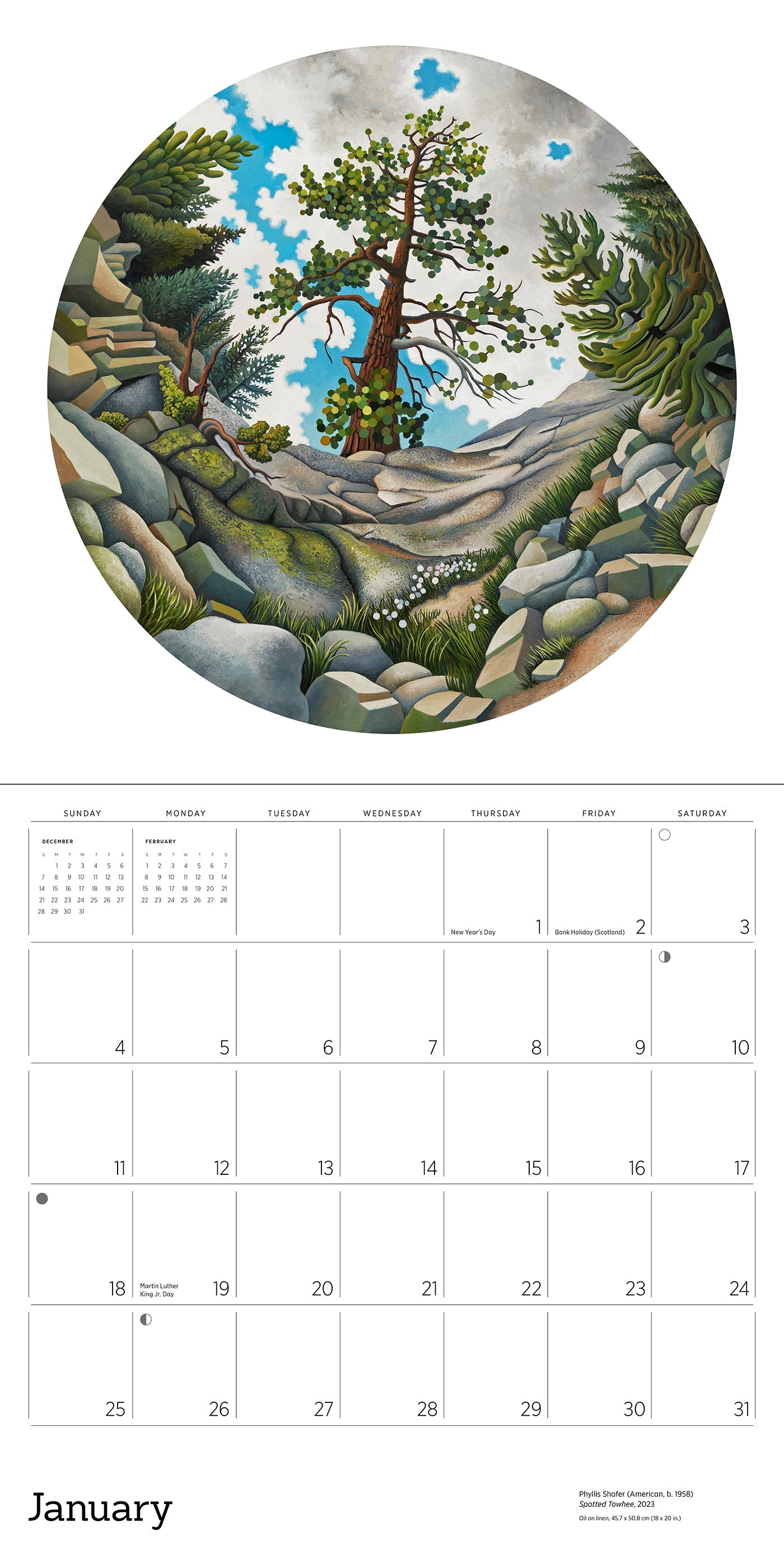 2026 Phyllis Shafer: Nature Divine - Square Wall Calendar