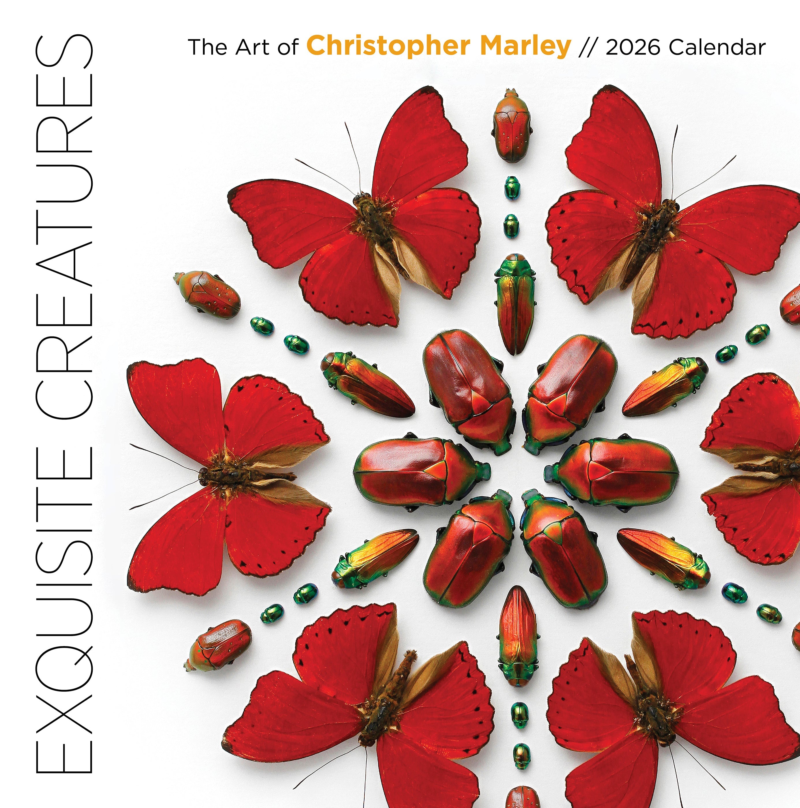 2026 Exquisite Creatures The Art Of Christopher Marley Square Wall CAL26142 03 615e2a3b Cfc4 4396 9f1f 