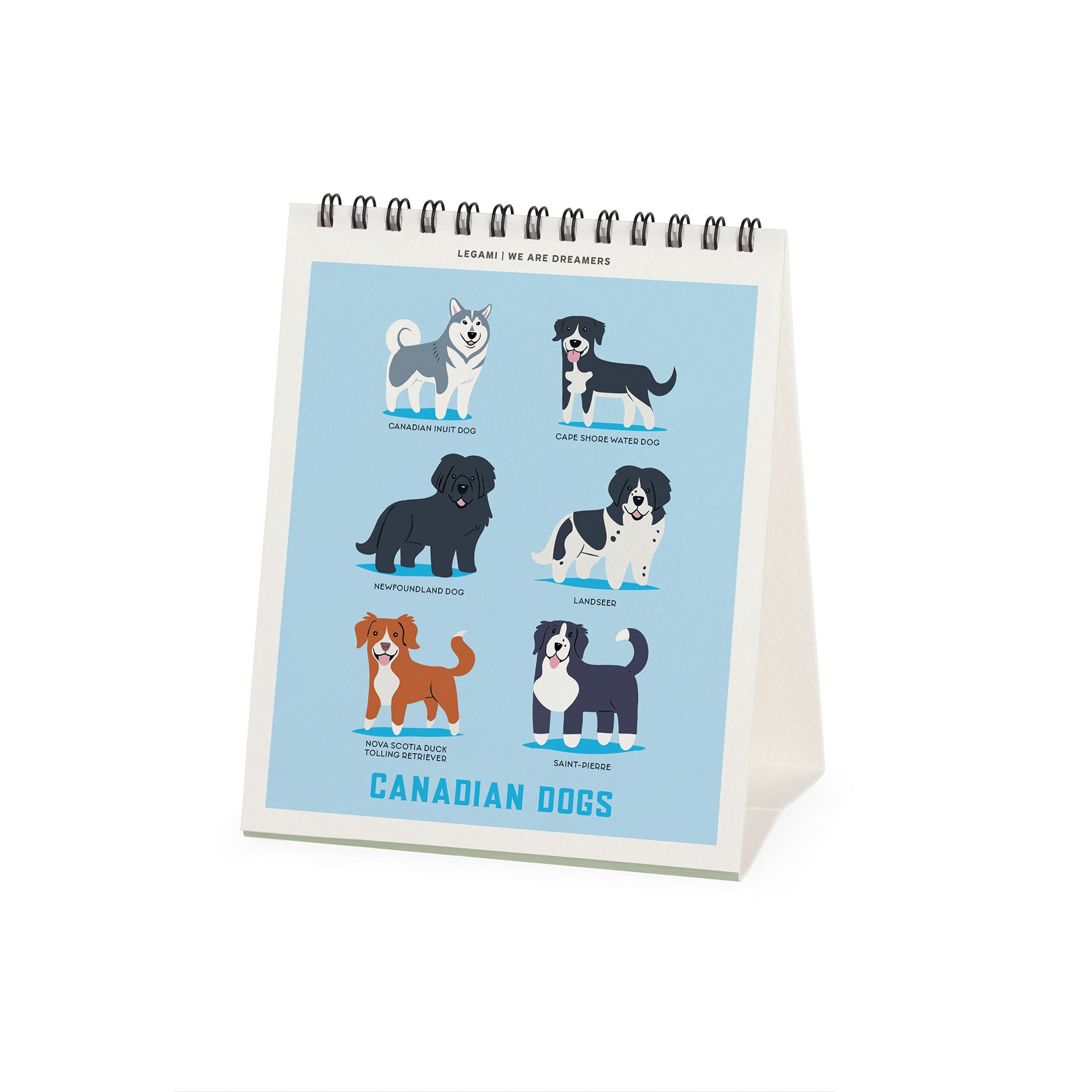 2027 Dogs of the World - Desk Easel Calendar