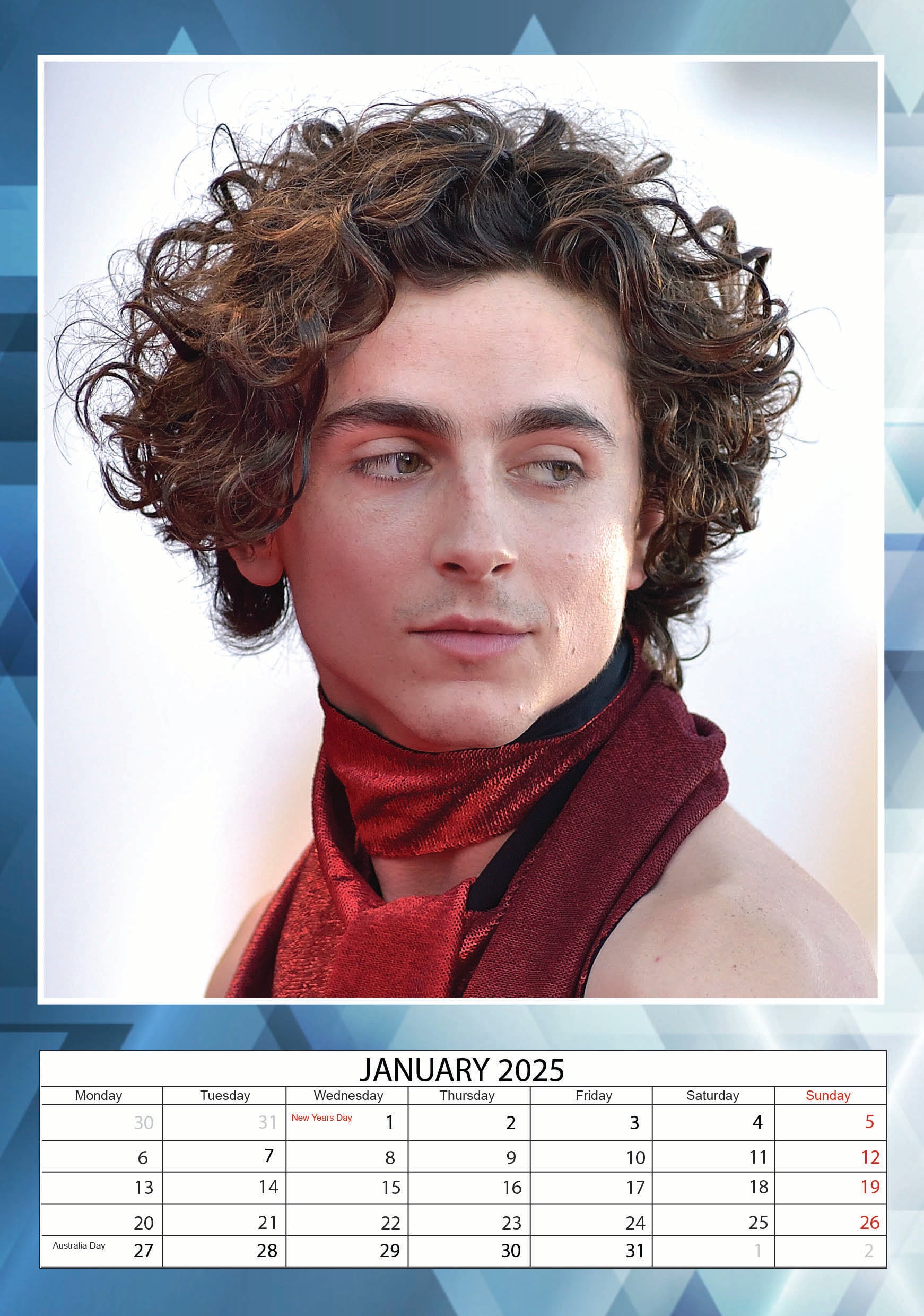 2025 Timoth�e Chalamet - A3 Wall Calendar