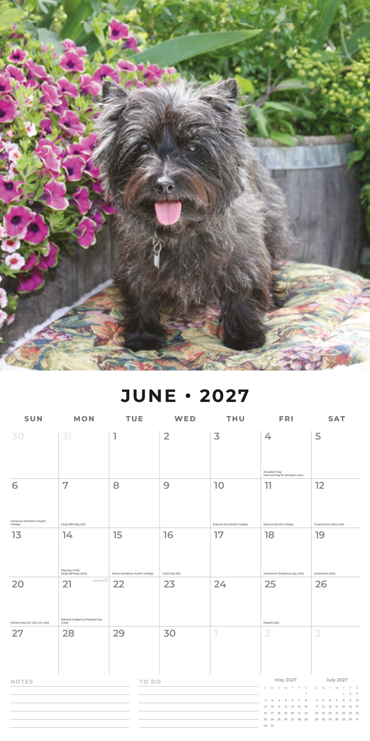 2027 Cairn Terriers - Square Wall Calendar