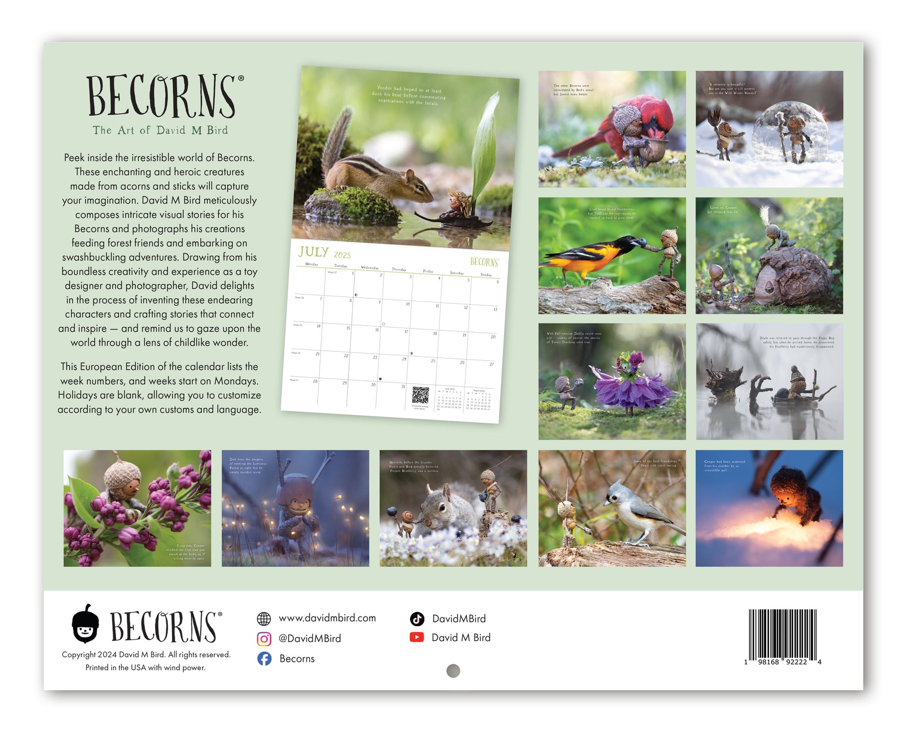 2025 Becorns The Art Of David M Bird Wall Calendar