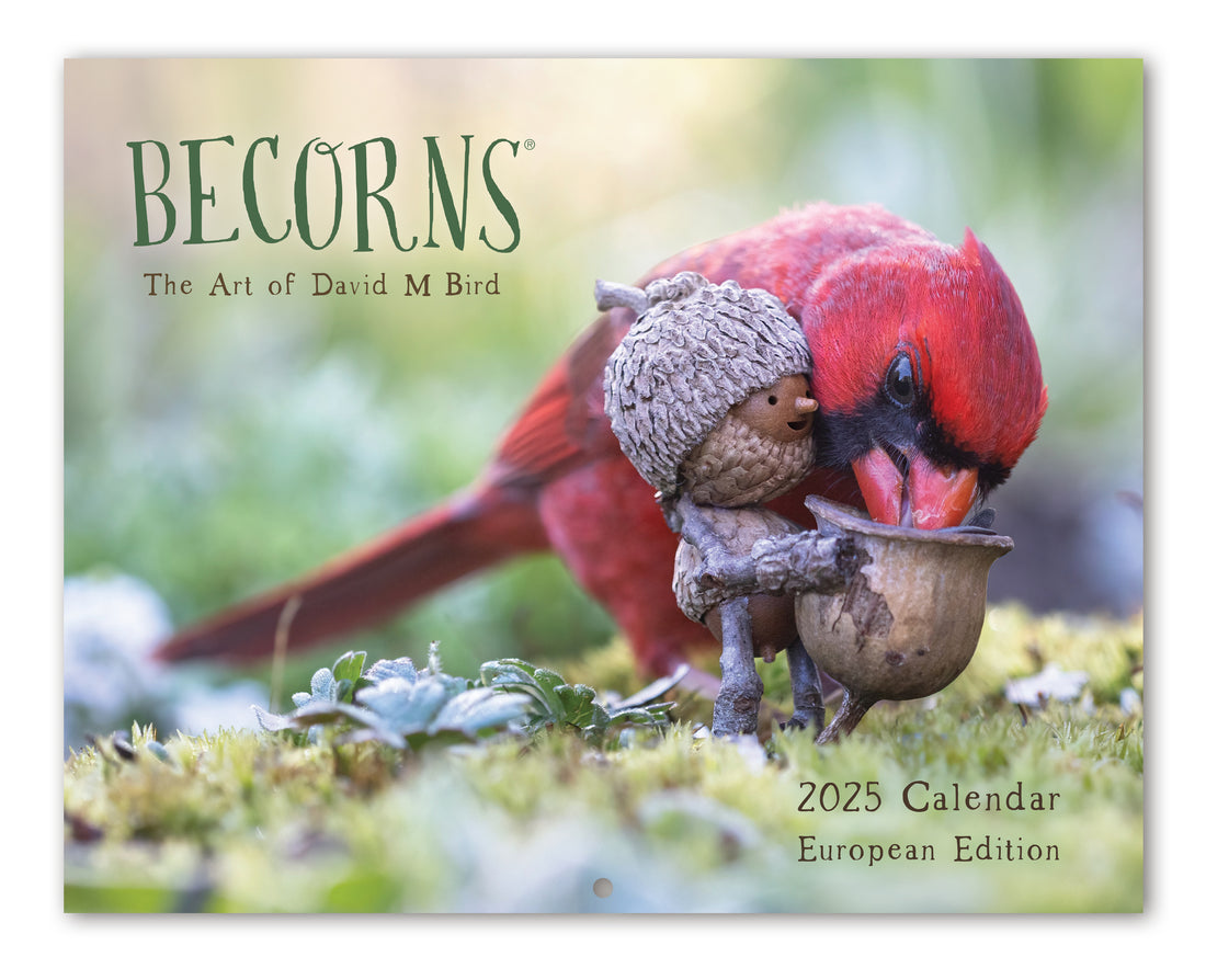 2025 Becorns The Art Of David M Bird Wall Calendar