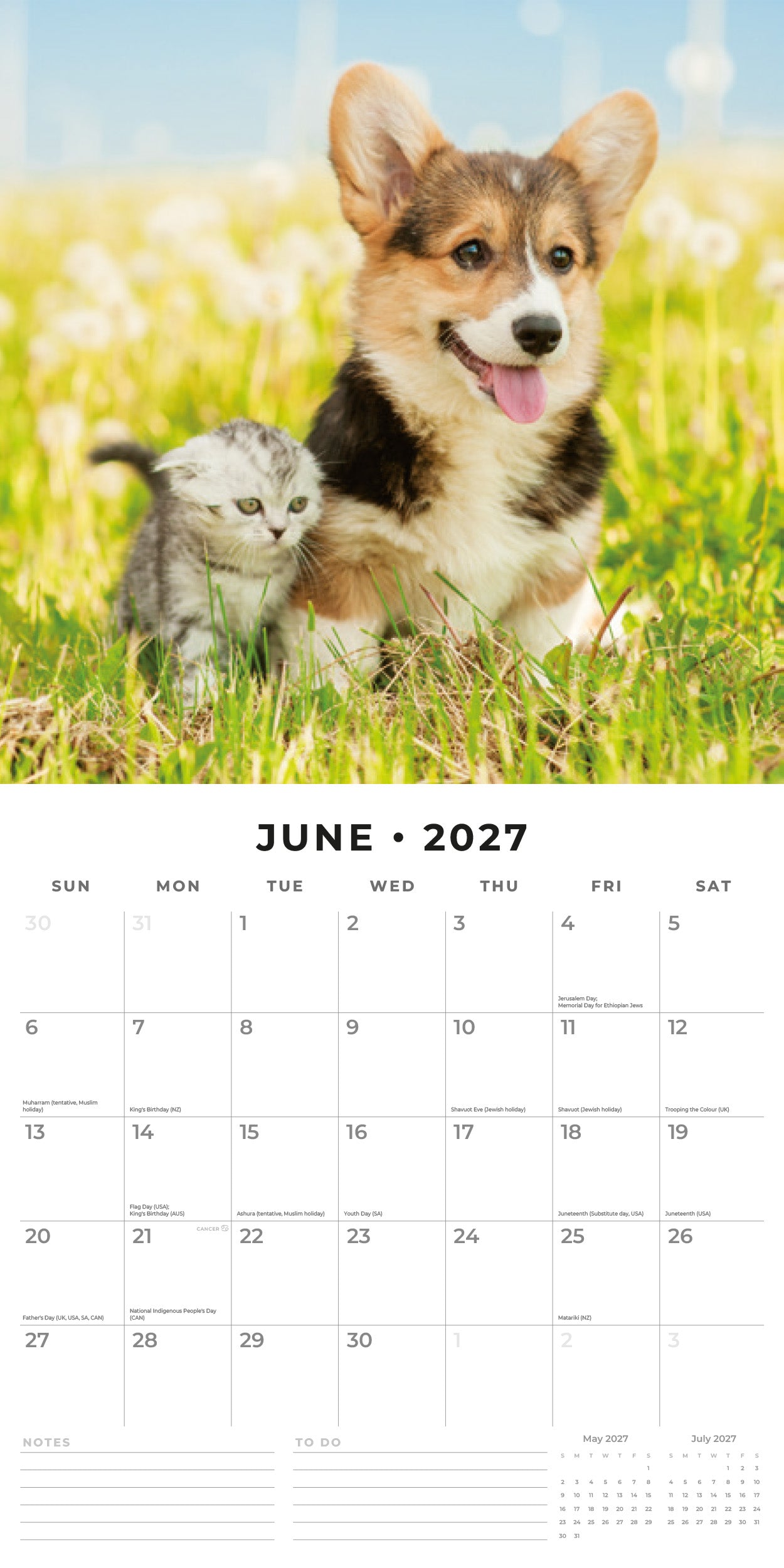 2027 Cats & Dogs - Square Wall Calendar