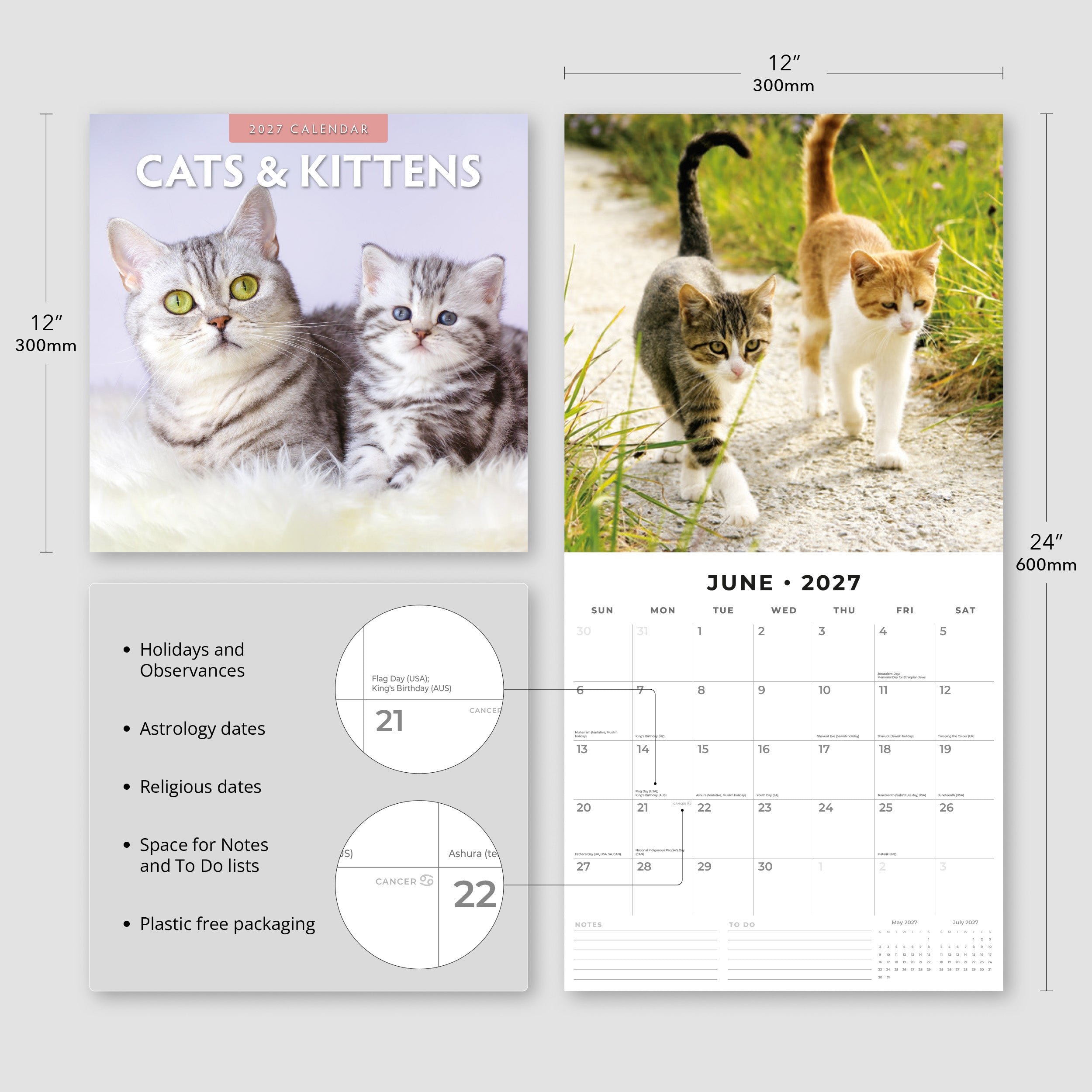 2027 Cats & Kittens - Square Wall Calendar