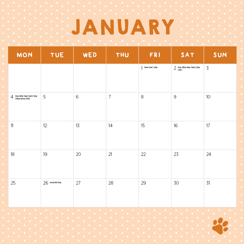 2027 Cats In Small Places - Square Wall Calendar
