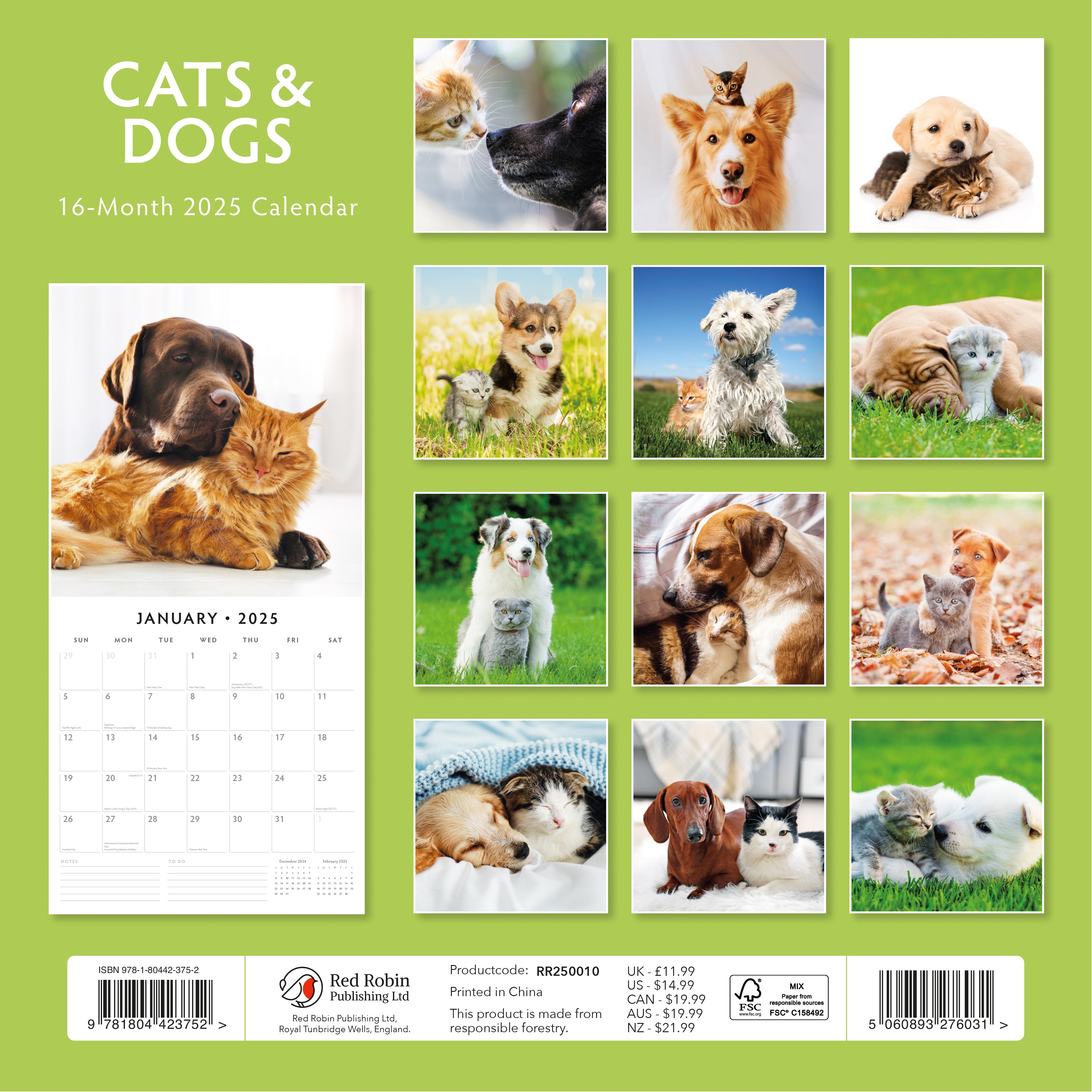 2025 Cats & Dogs - Square Wall Calendar