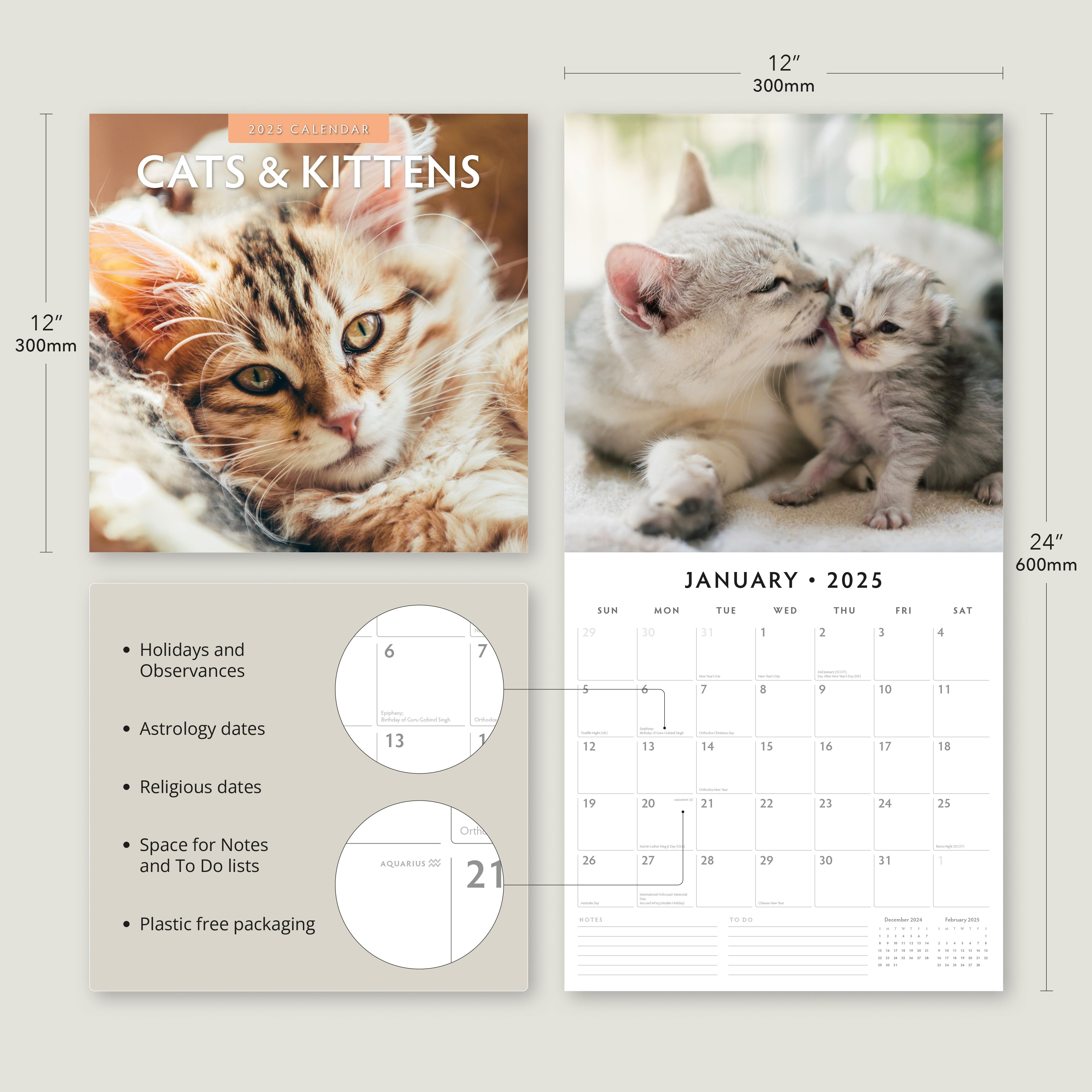 2025 Cats & Kittens - Square Wall Calendar